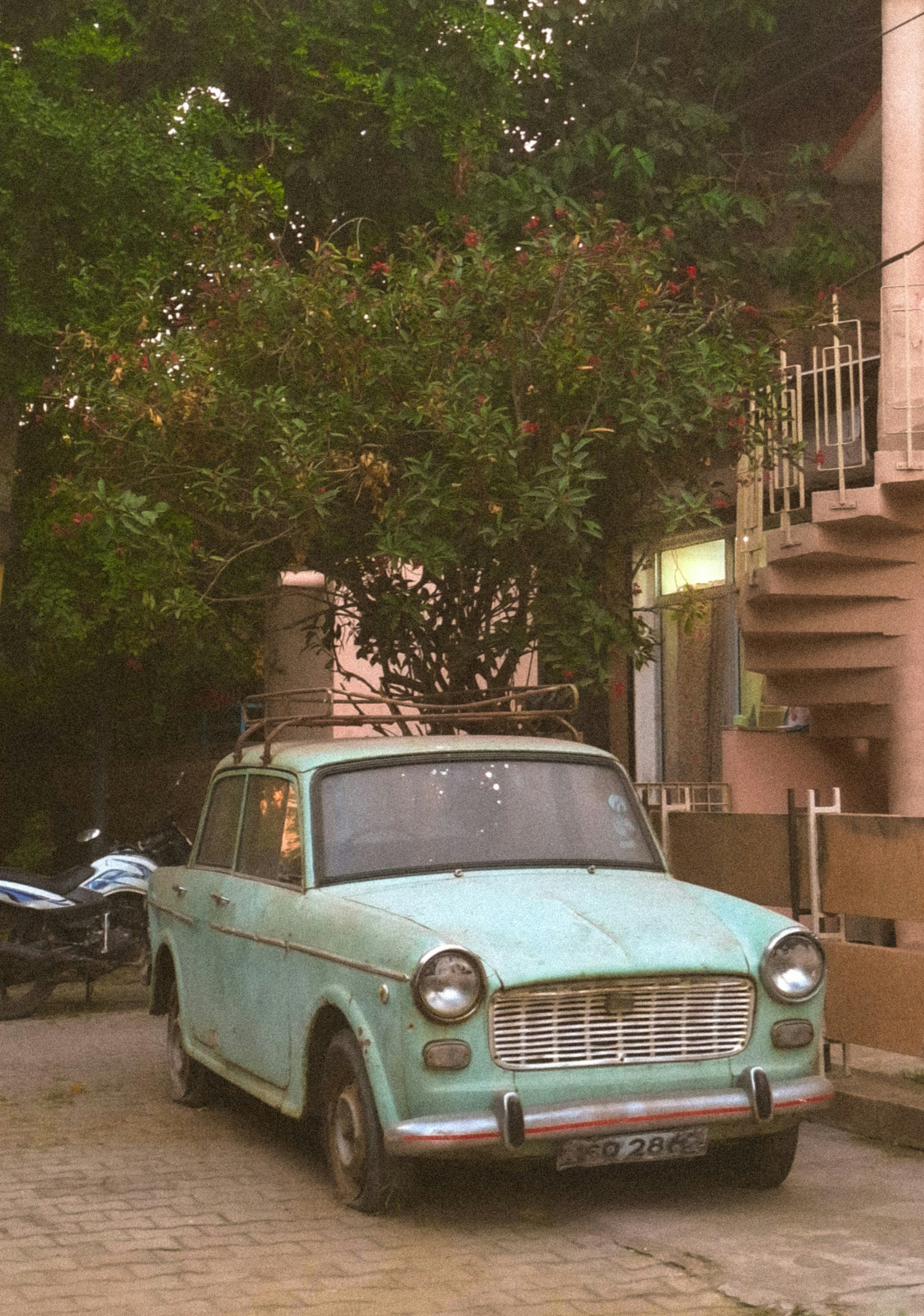 Photo by vikramaditya_641