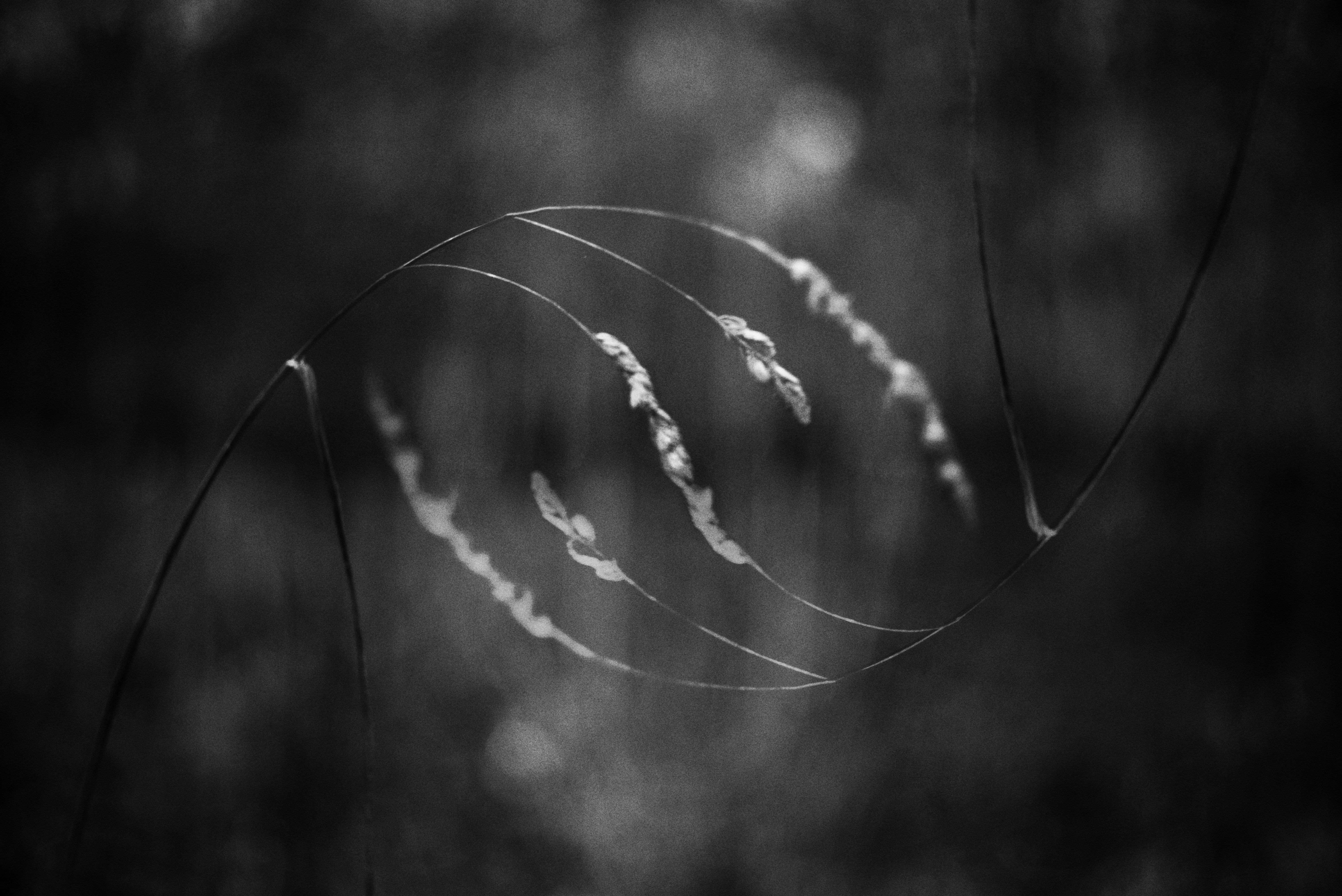 Photo by cherstve_pechivo