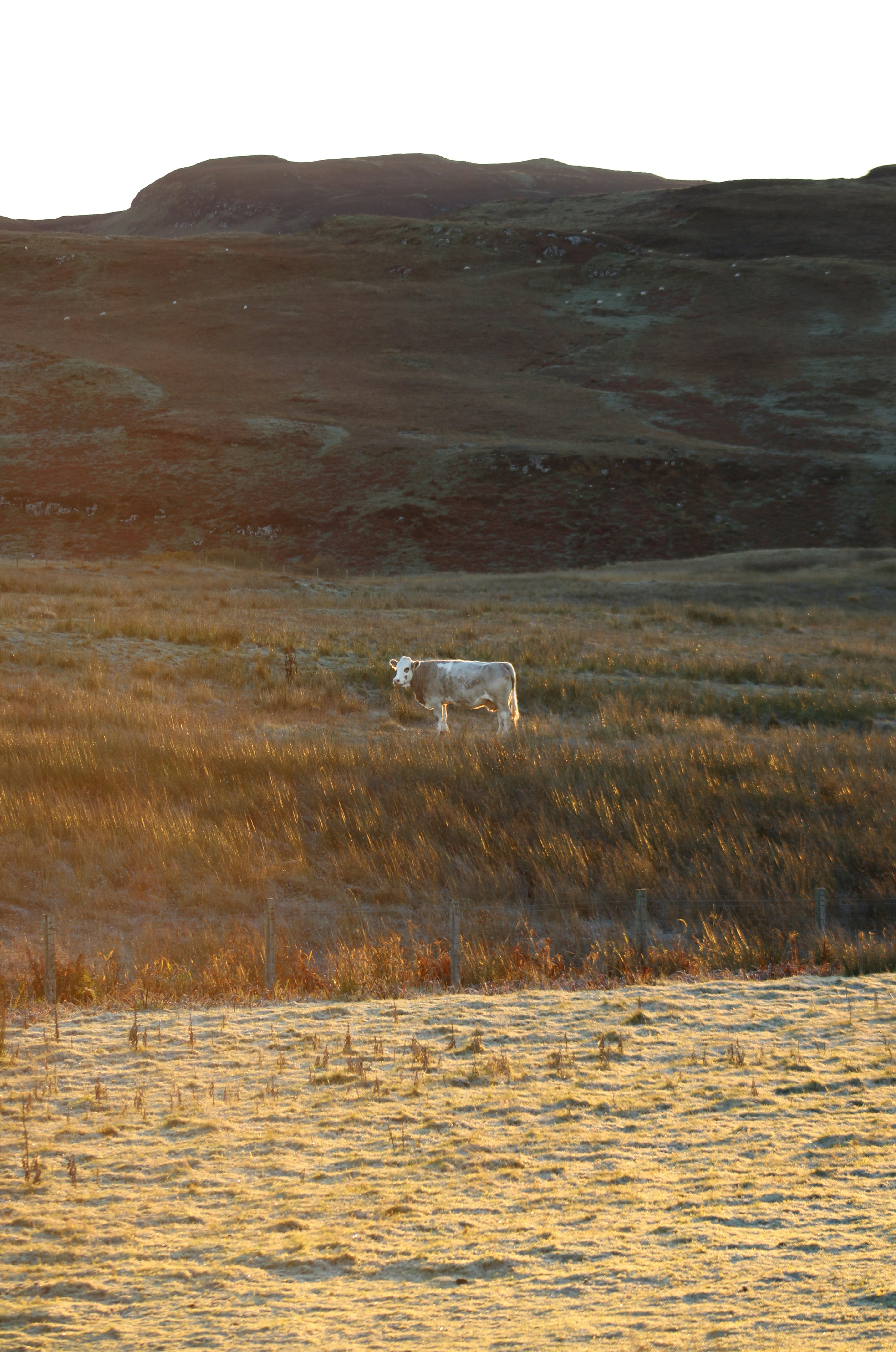 Photo by thequietatlas