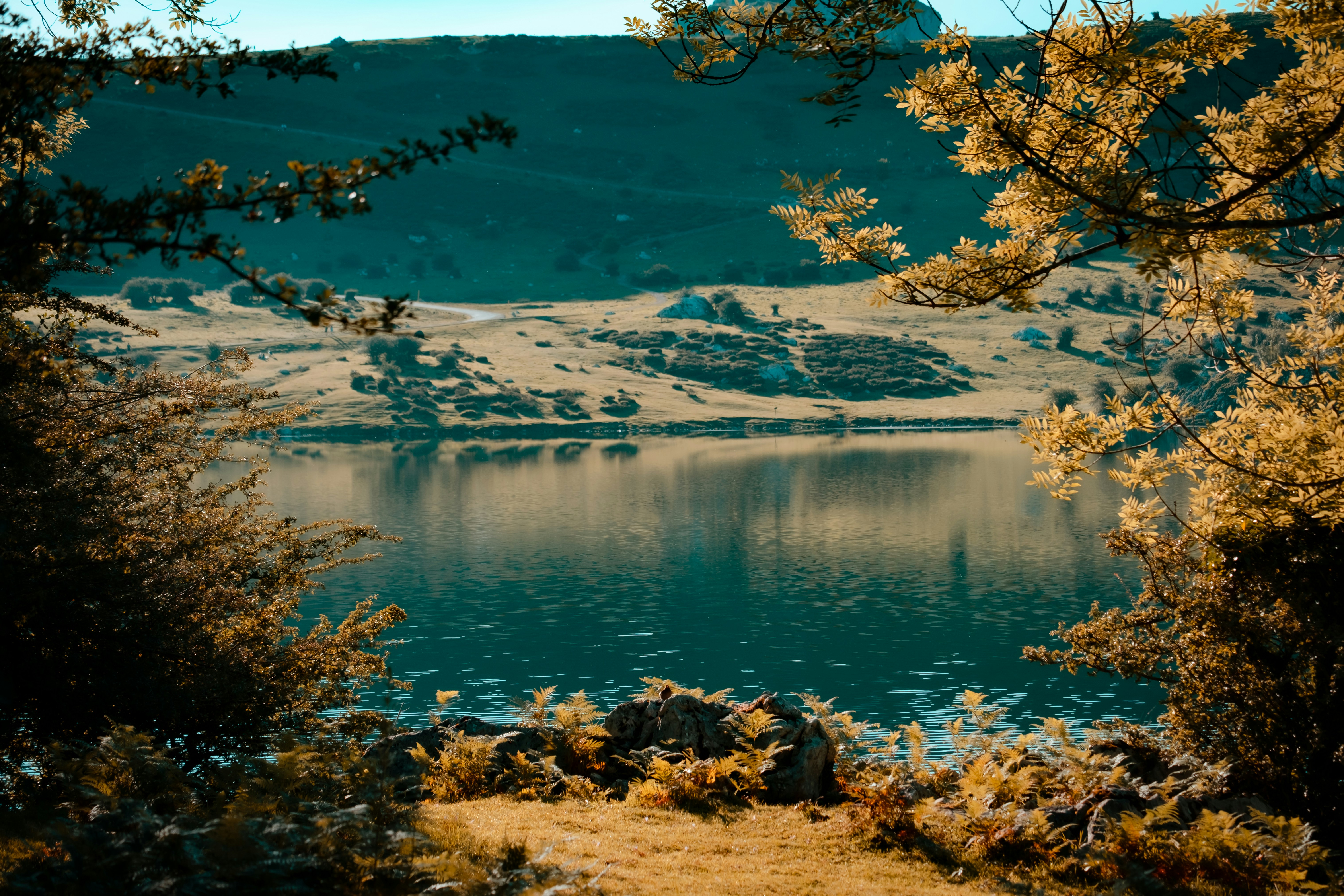 Calm lake surrounded by trees and hills