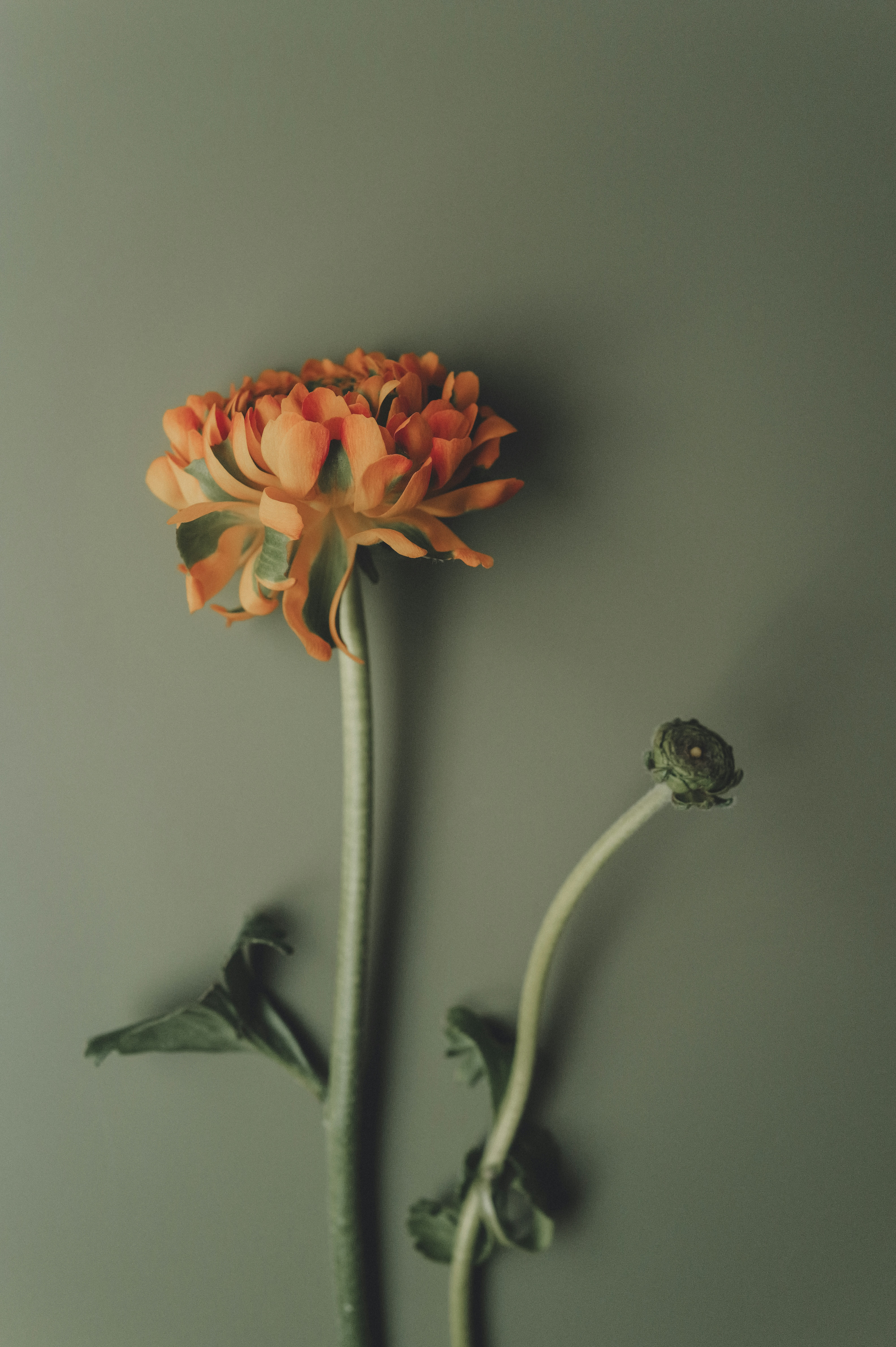 Photo by anyachernykh