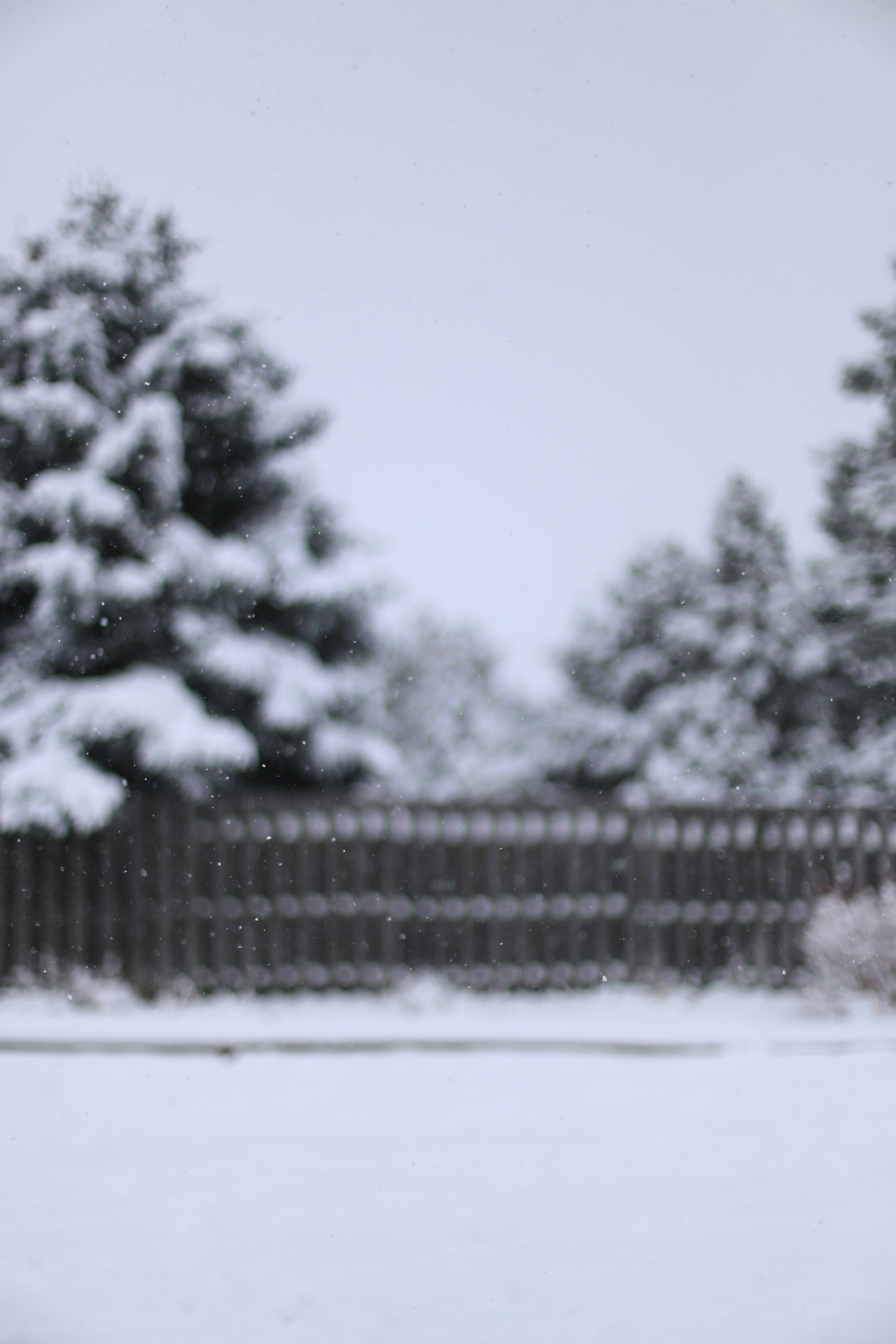 Photo by jessicalfadel