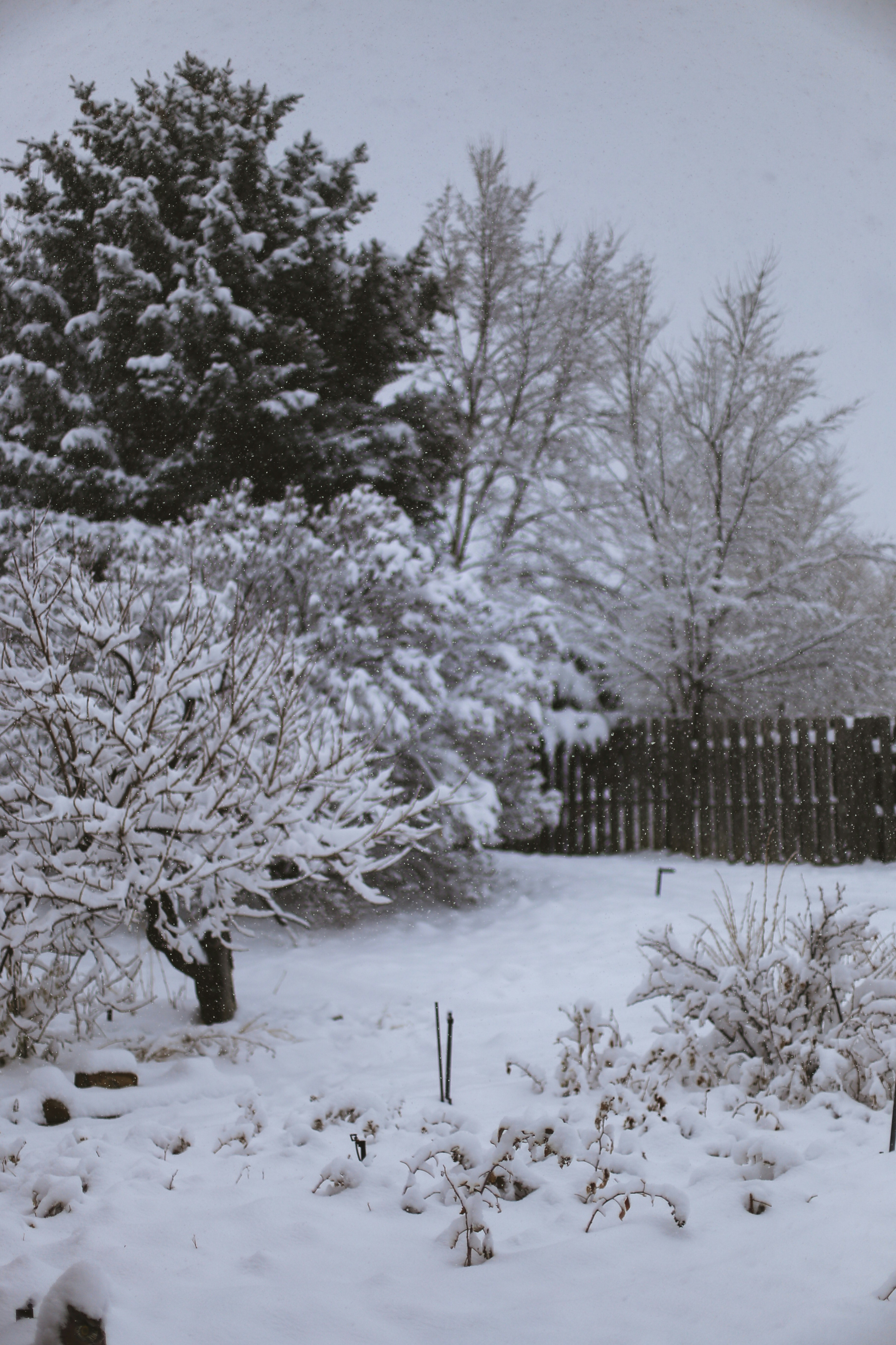 Photo by jessicalfadel