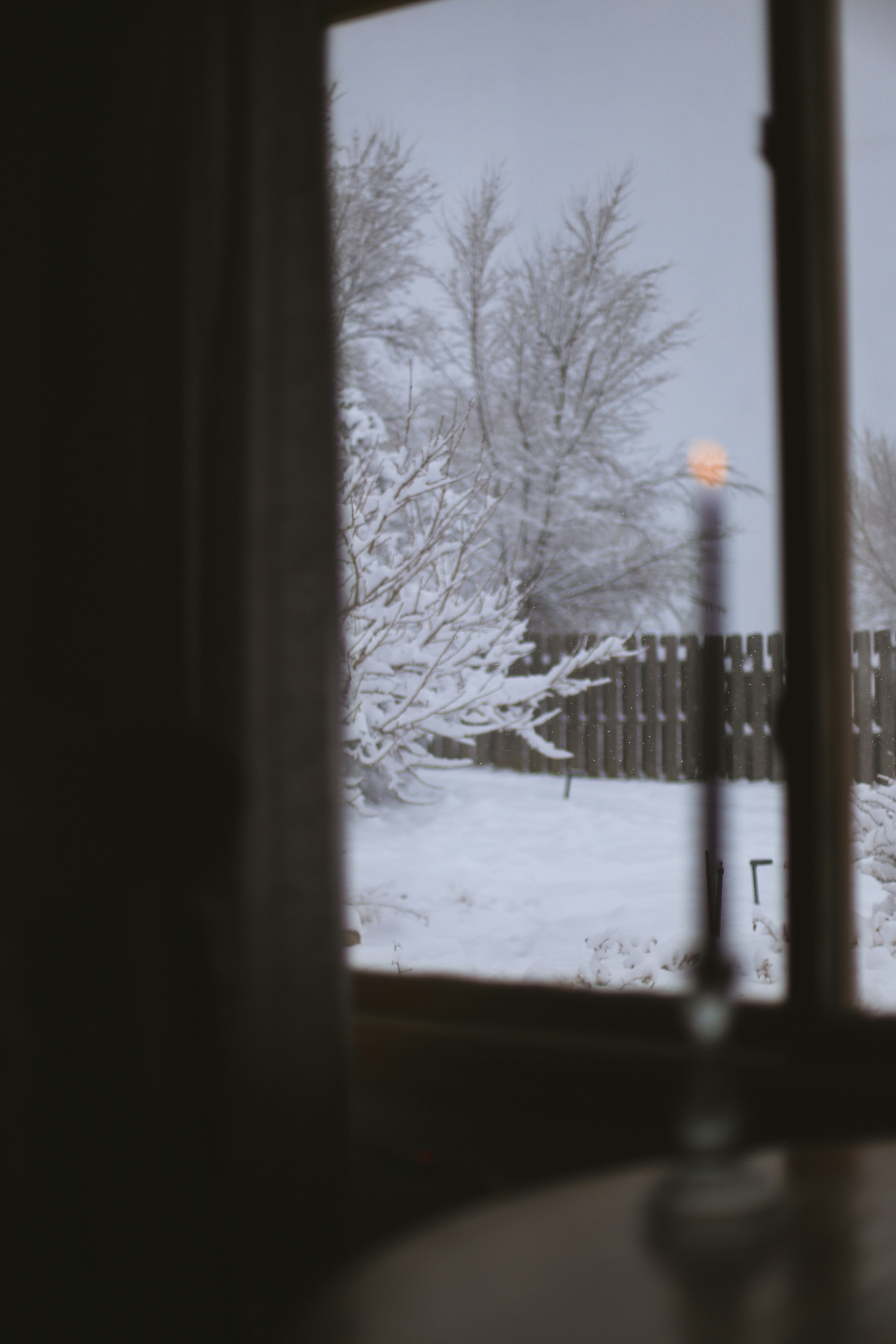 Photo by jessicalfadel