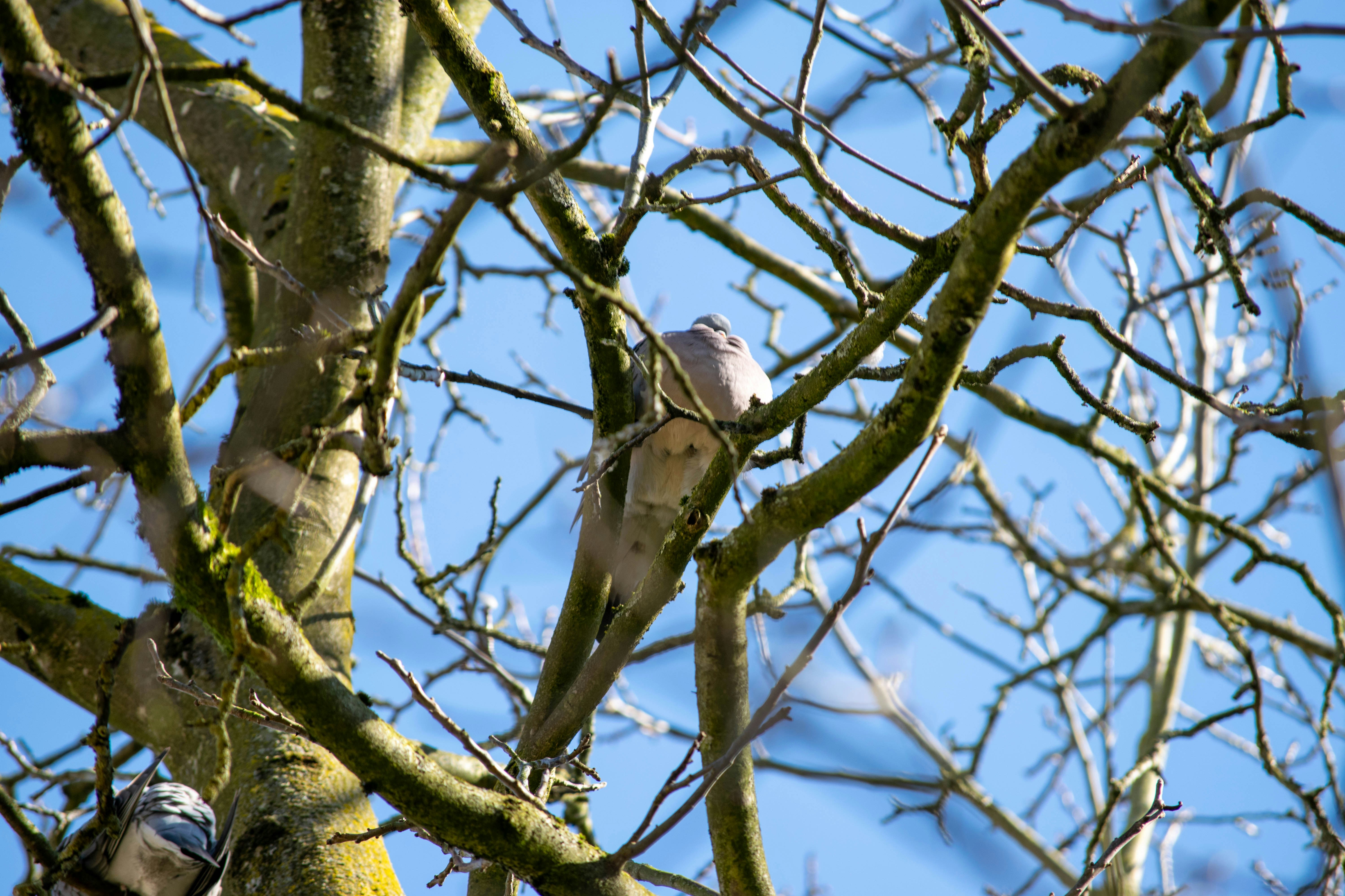 Photo by tea_in_deventer