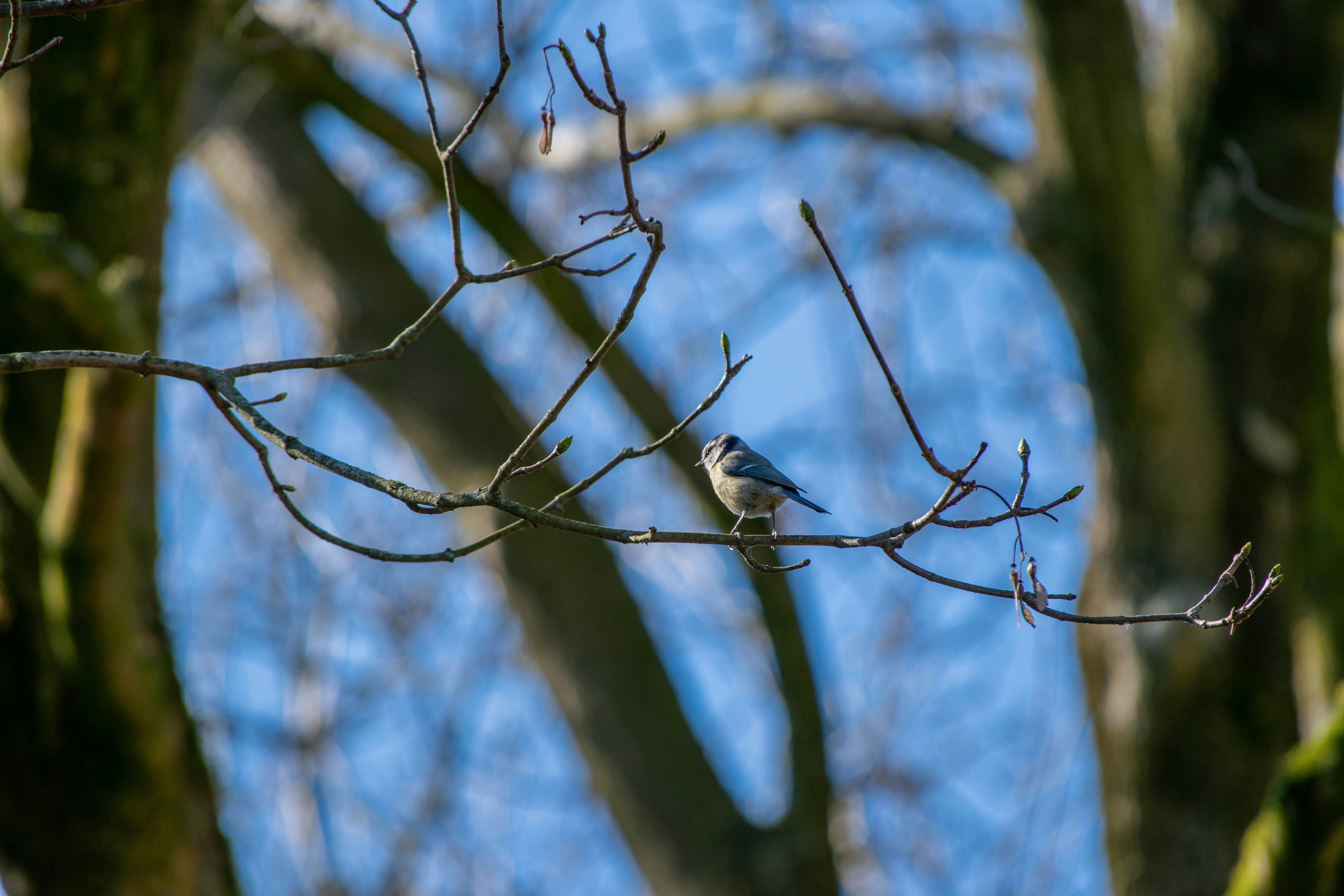 Photo by tea_in_deventer