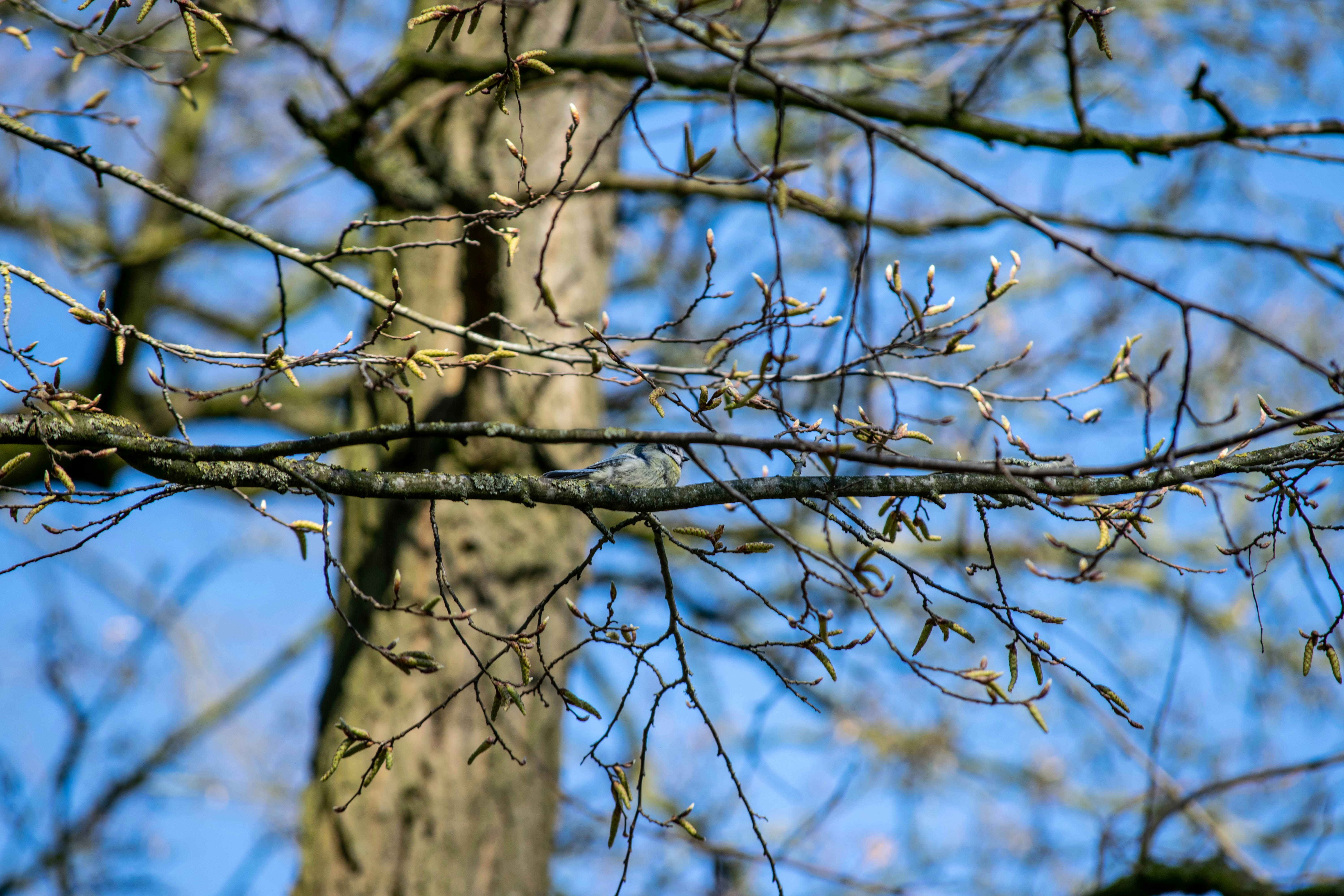 Photo by tea_in_deventer