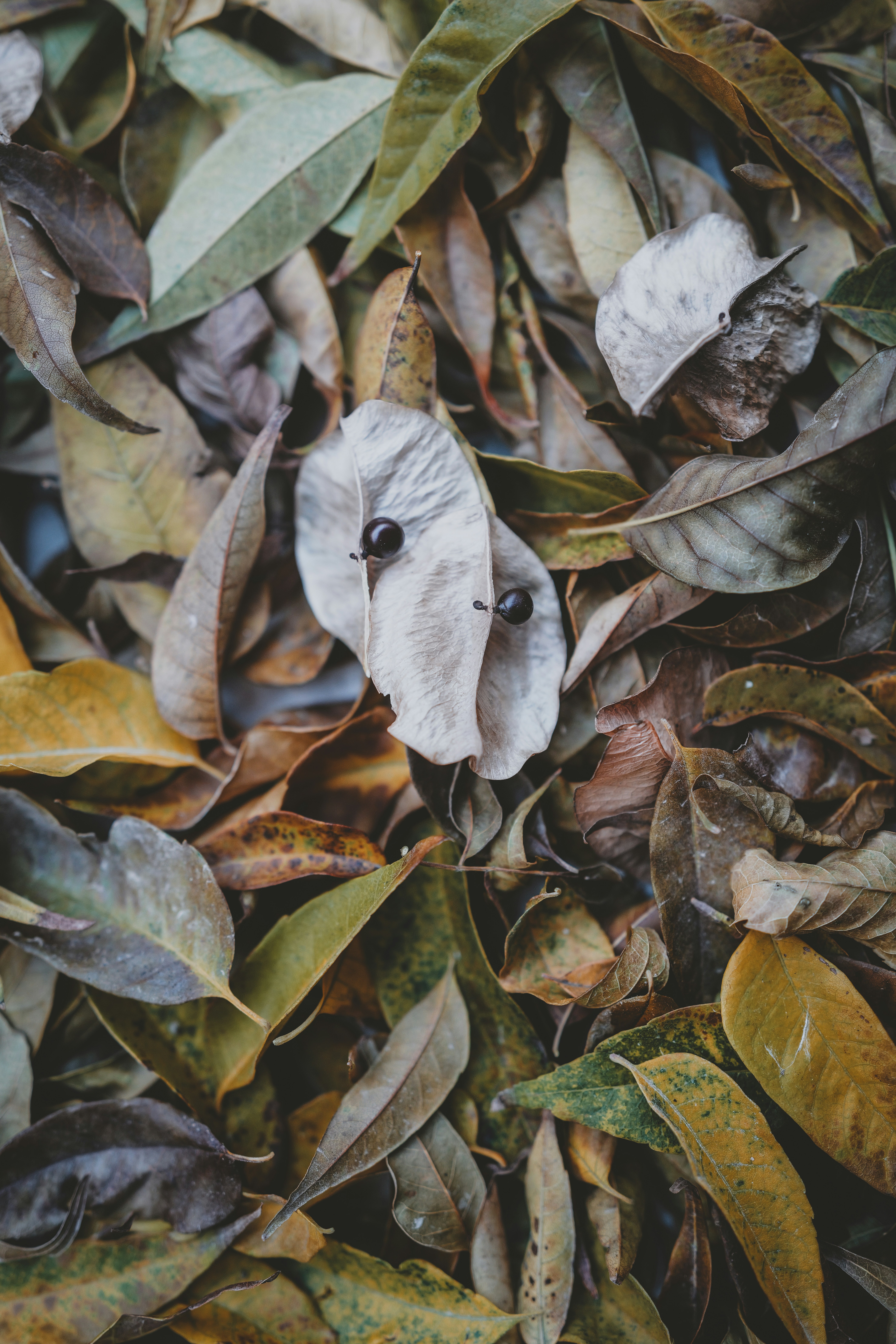 Photo by anyachernykh