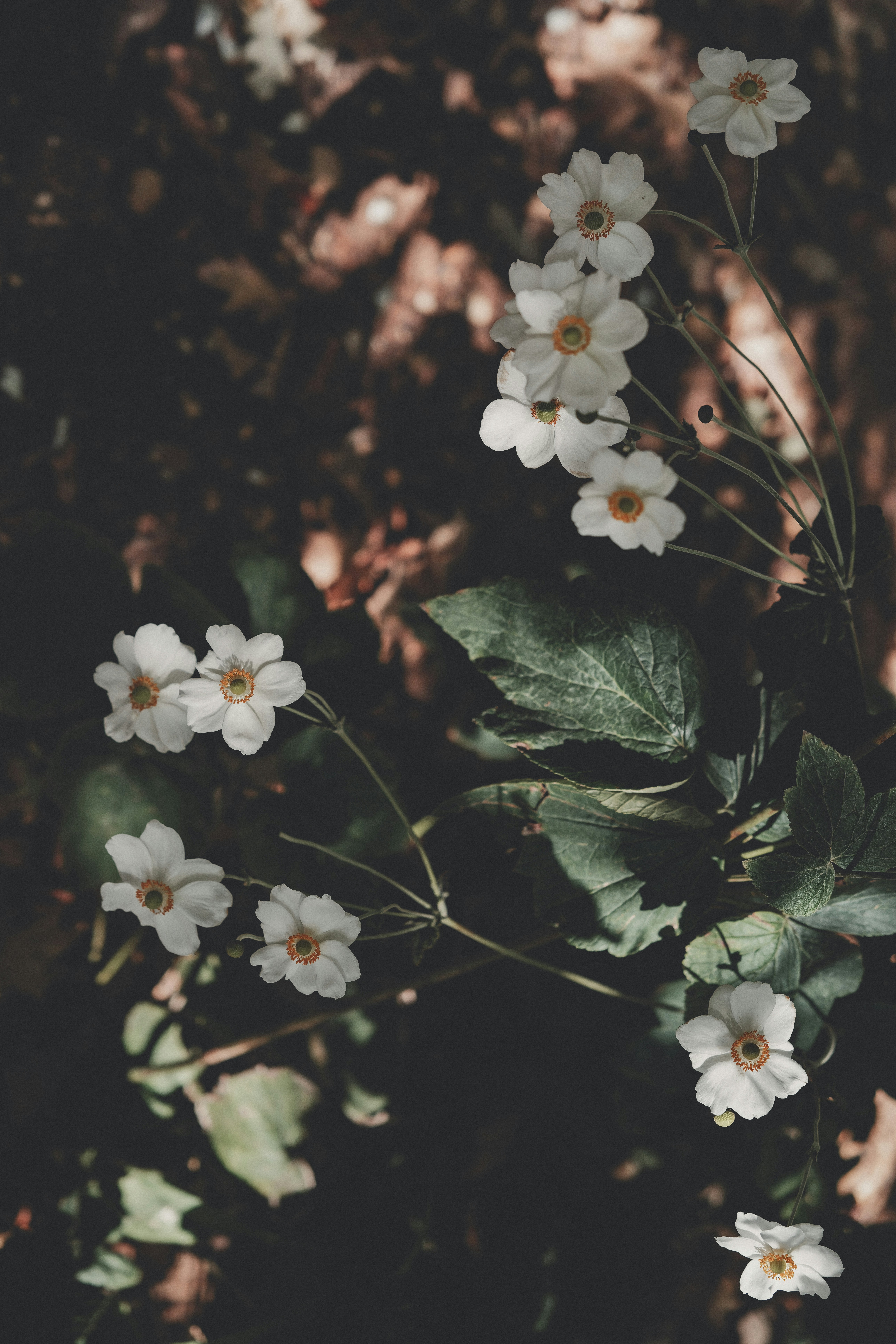 Photo by anyachernykh