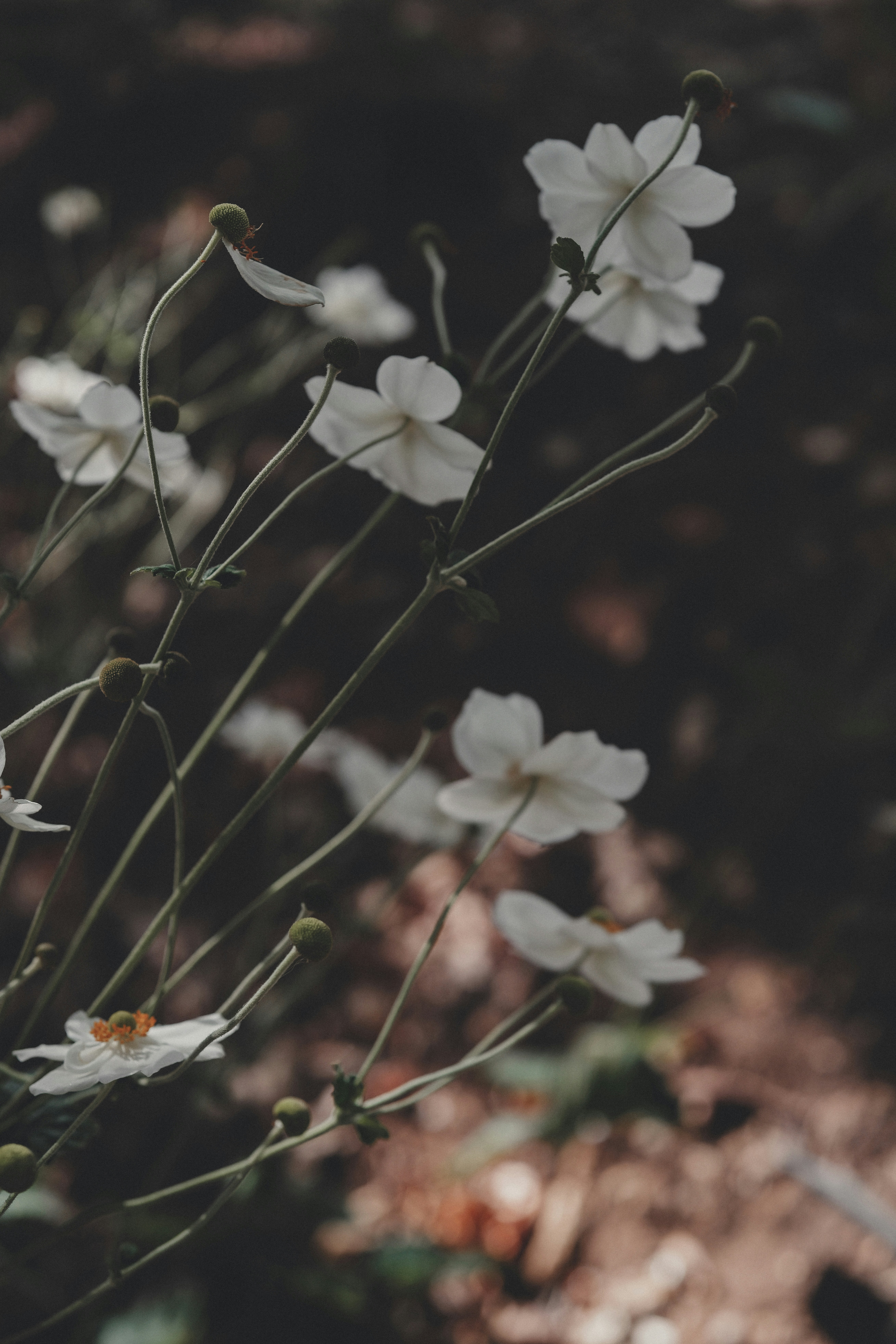 Photo by anyachernykh