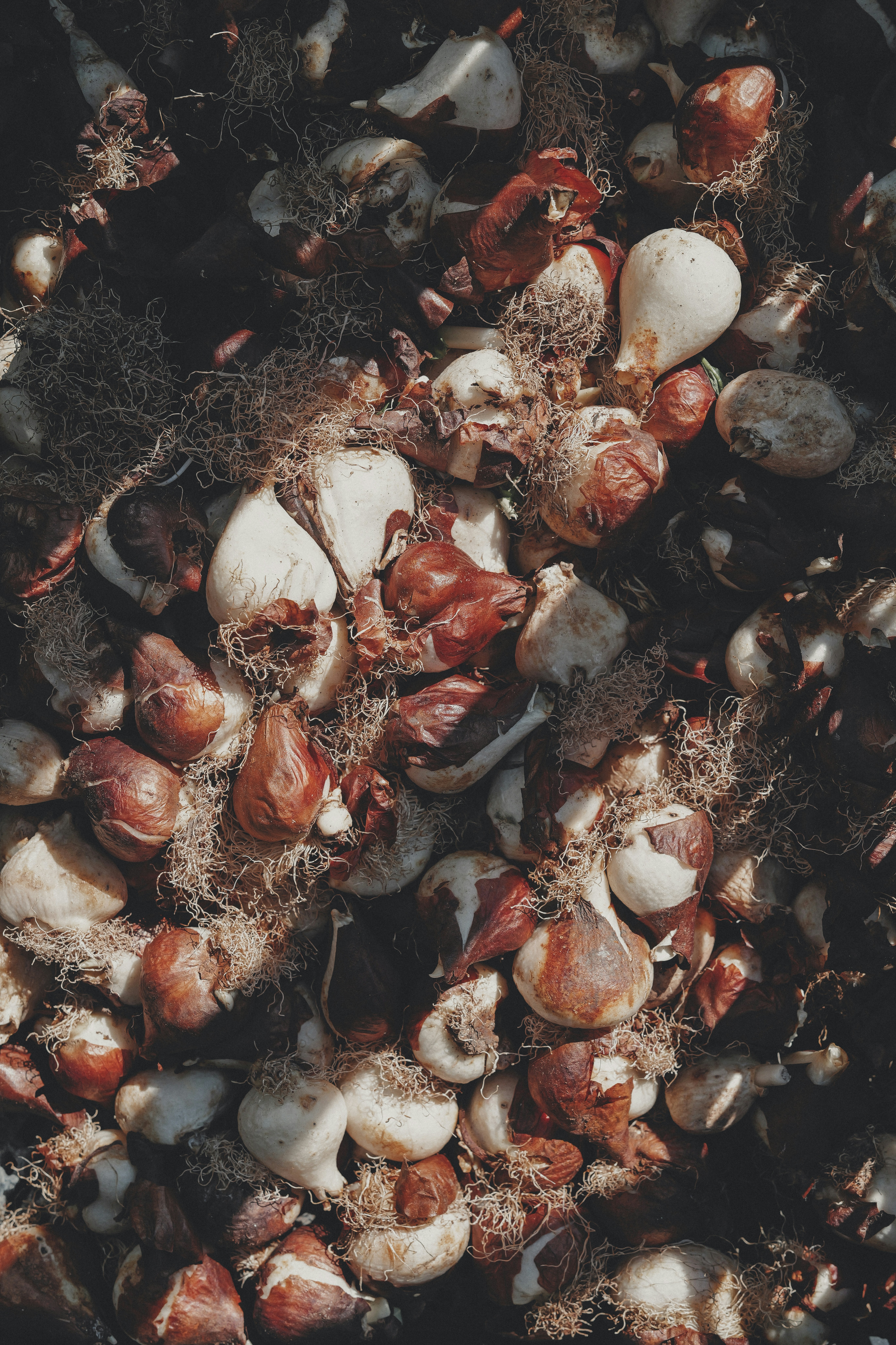 Photo by anyachernykh