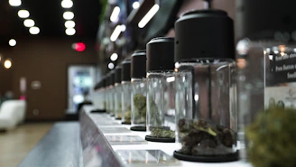 Row of glass jars filled with dried cannabis