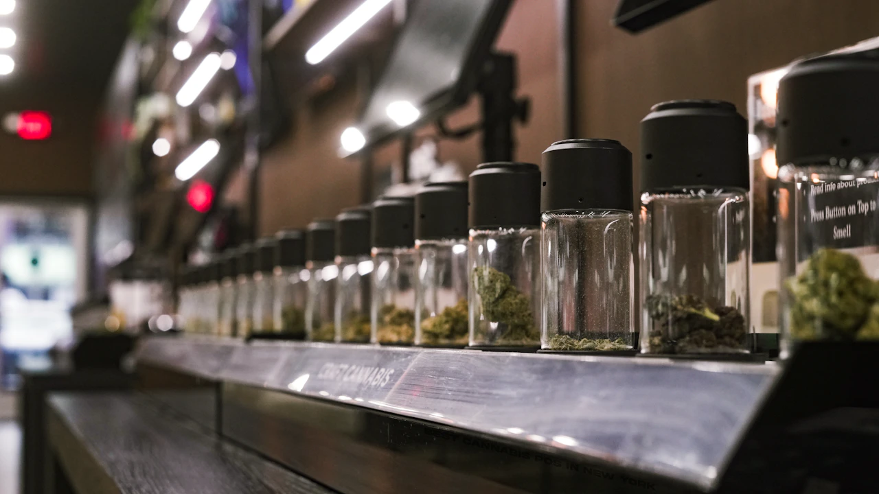 Rows of labeled glass jars of cannabis flower on dispensary shelves tracked through real-time inventory management