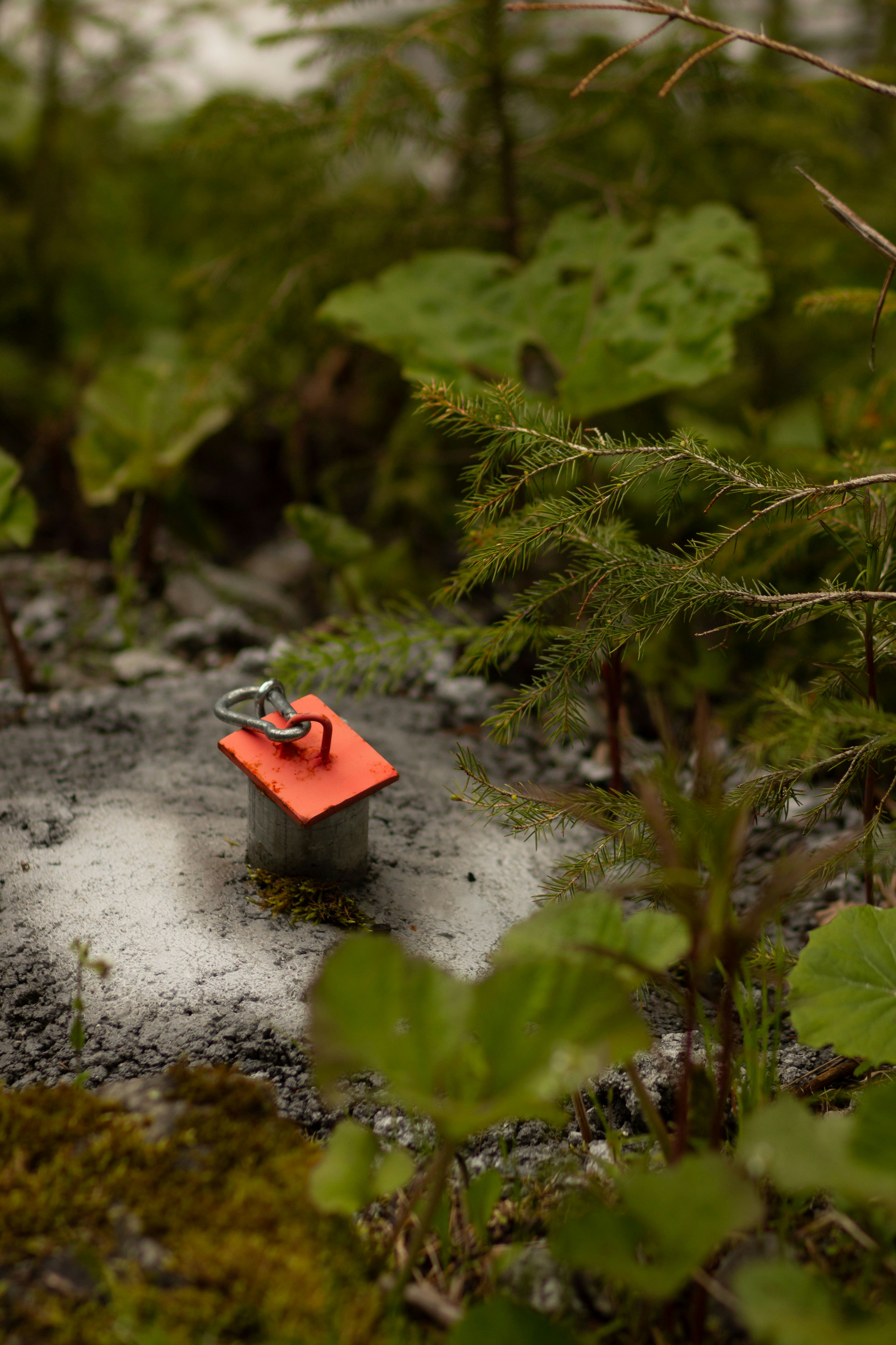 Small orange structure with metal loop in forest