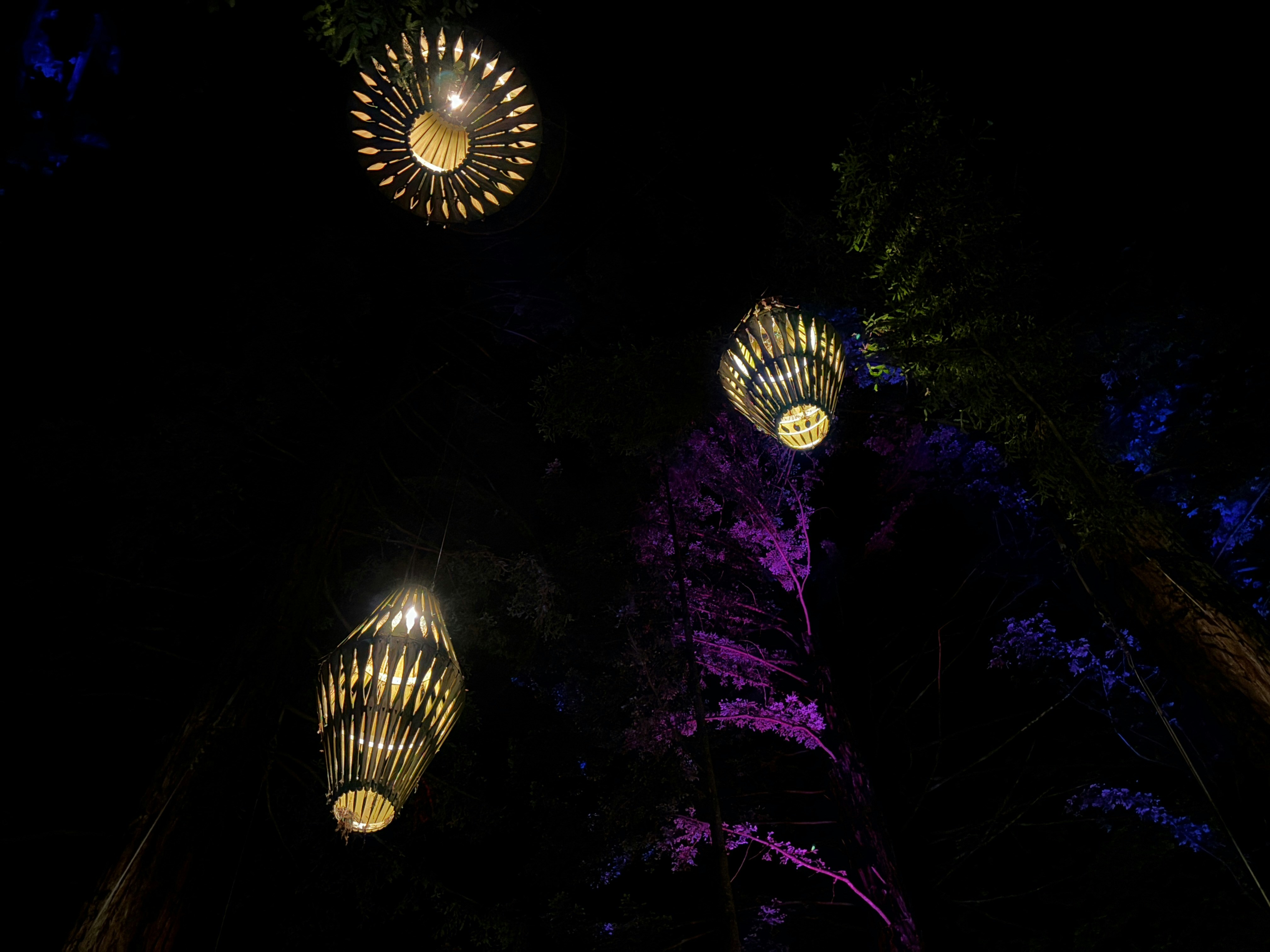 Hanging lanterns illuminate dark trees at night.
