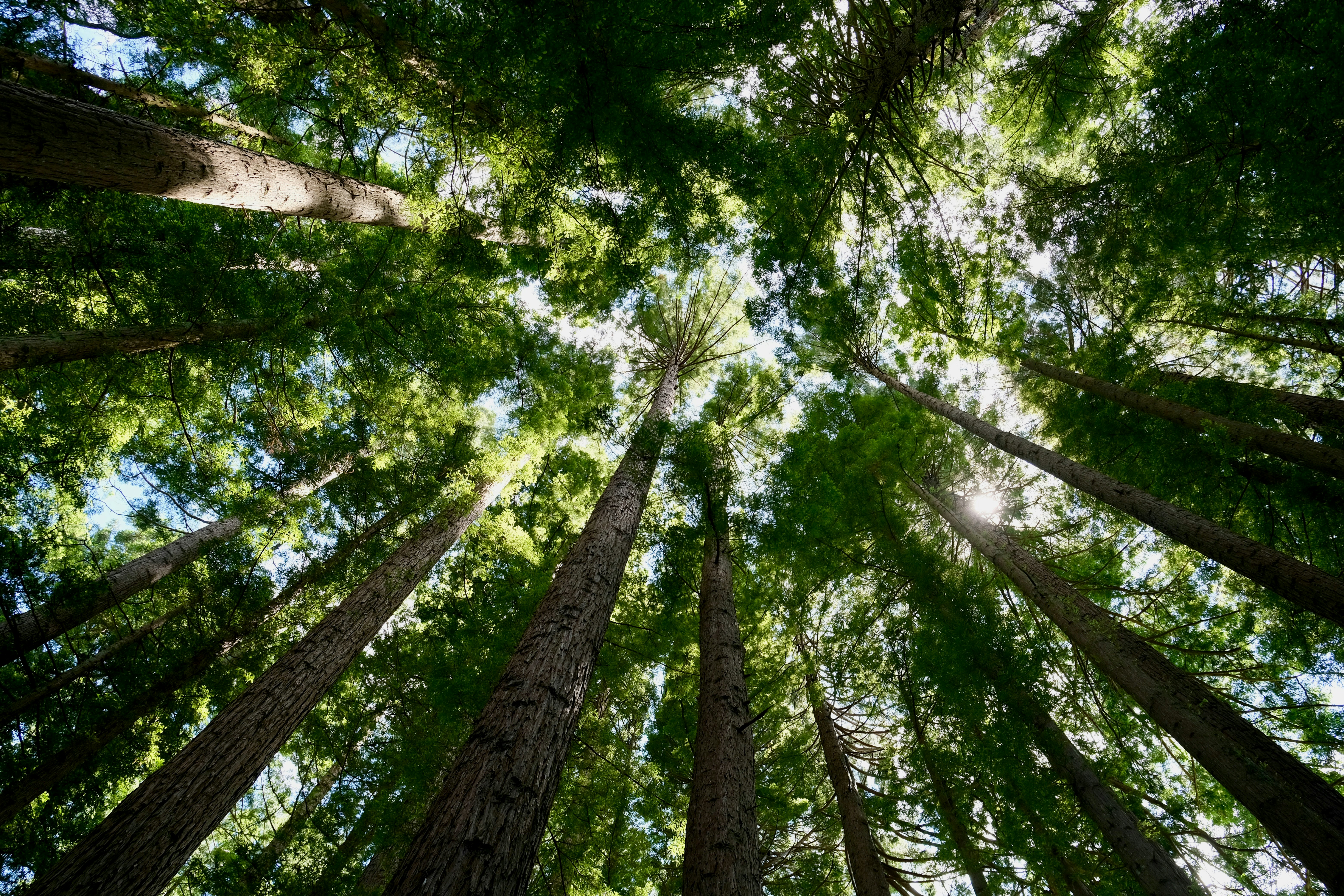 Photo by kushanjanith