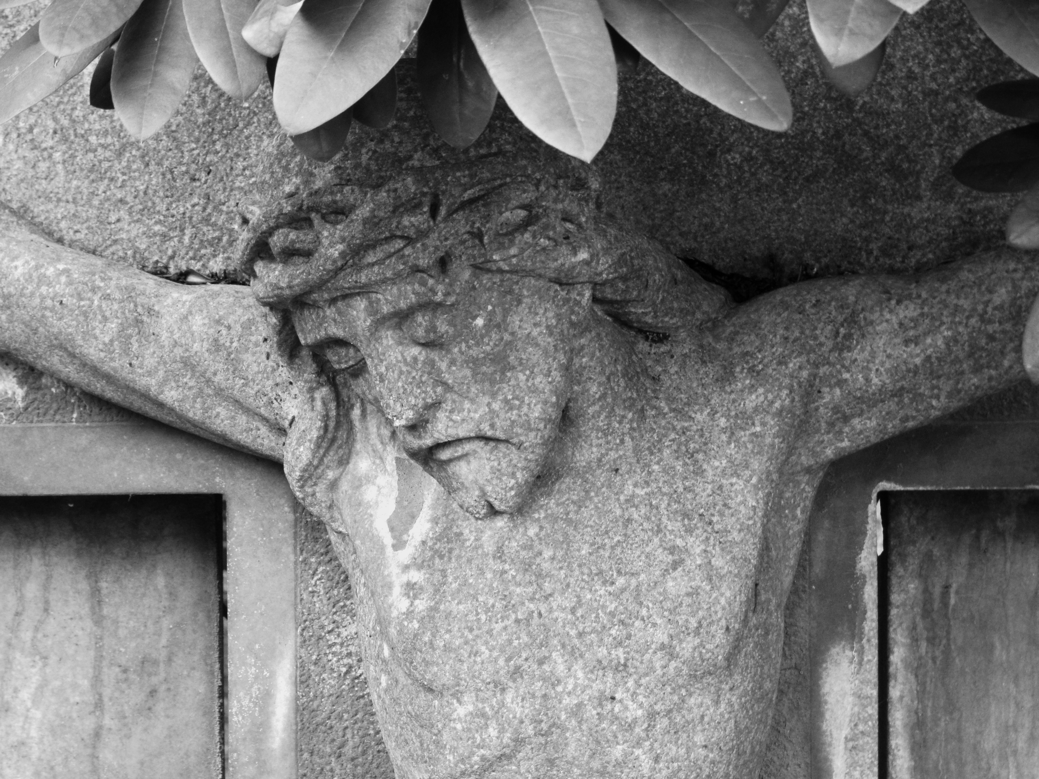 Photo by nikodemus777