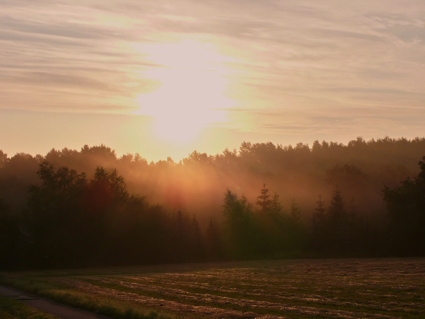 A peaceful landscape at sunrise, mist settling over open fields under soft morning light.