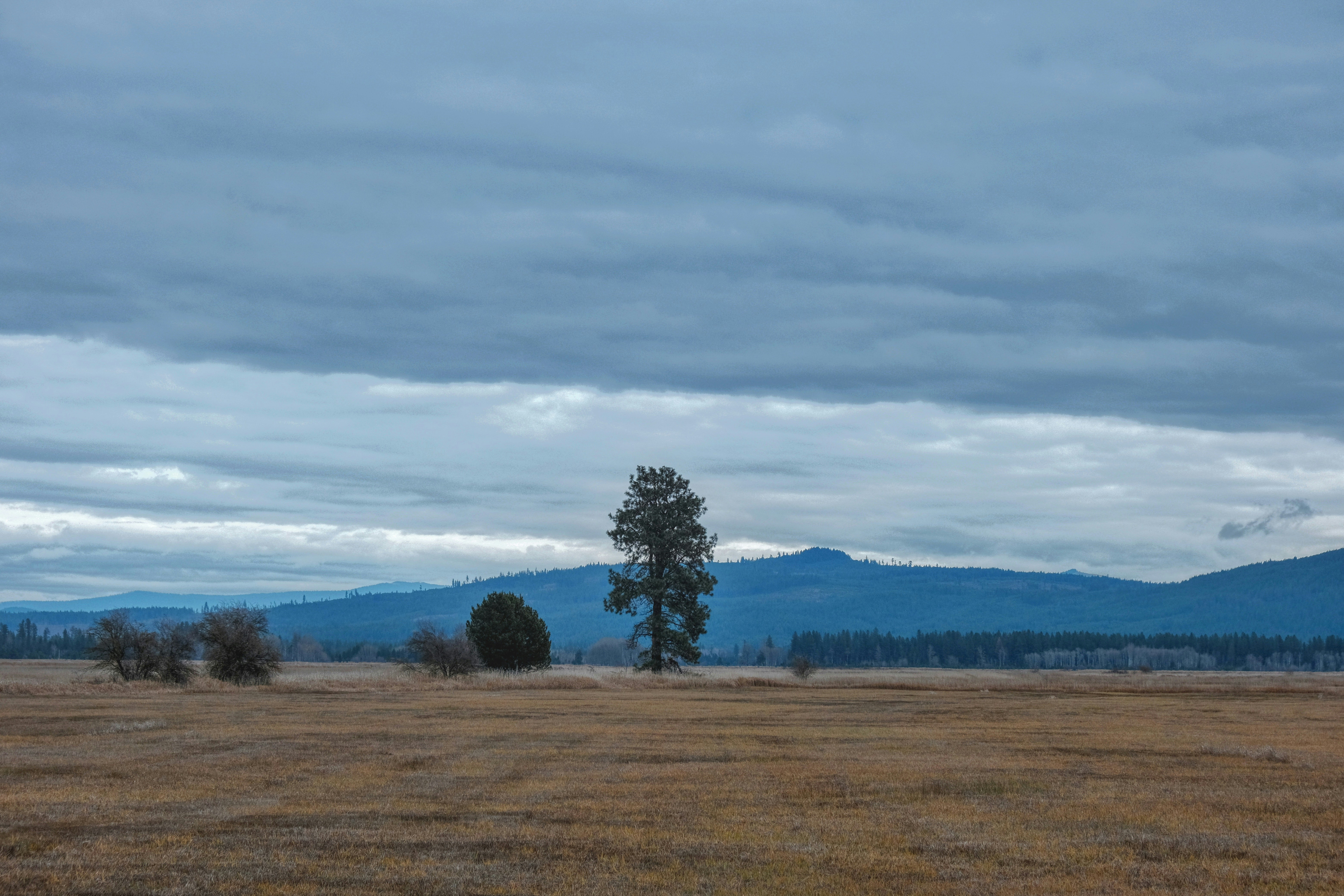 Photo by shanewester