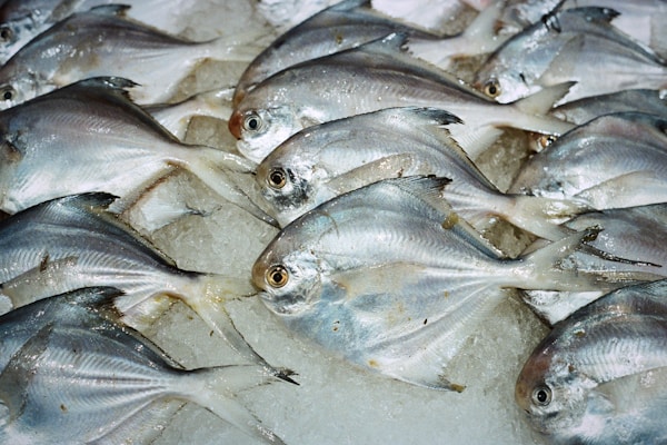 Poissonnerie