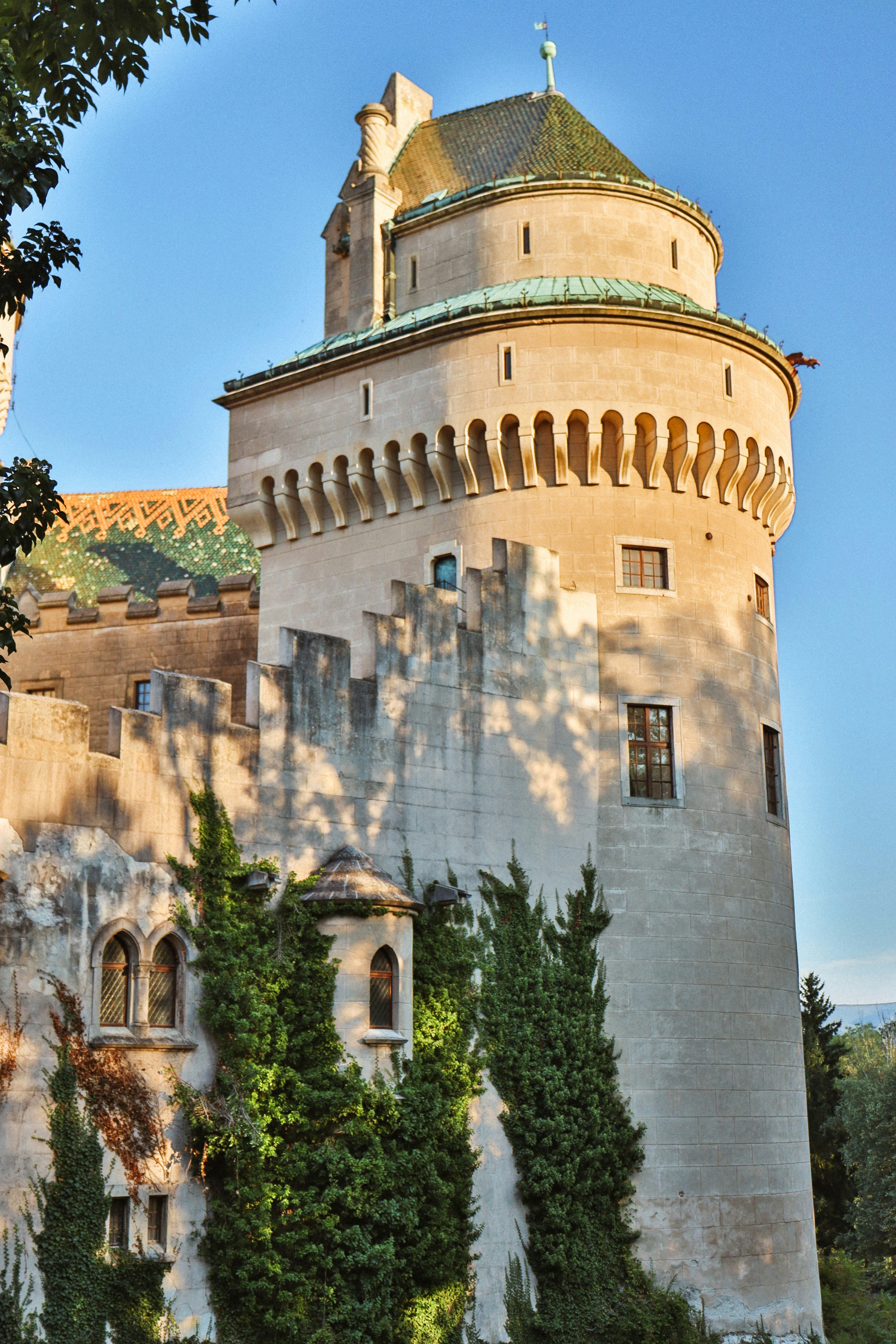 Photo by nicolearangolang