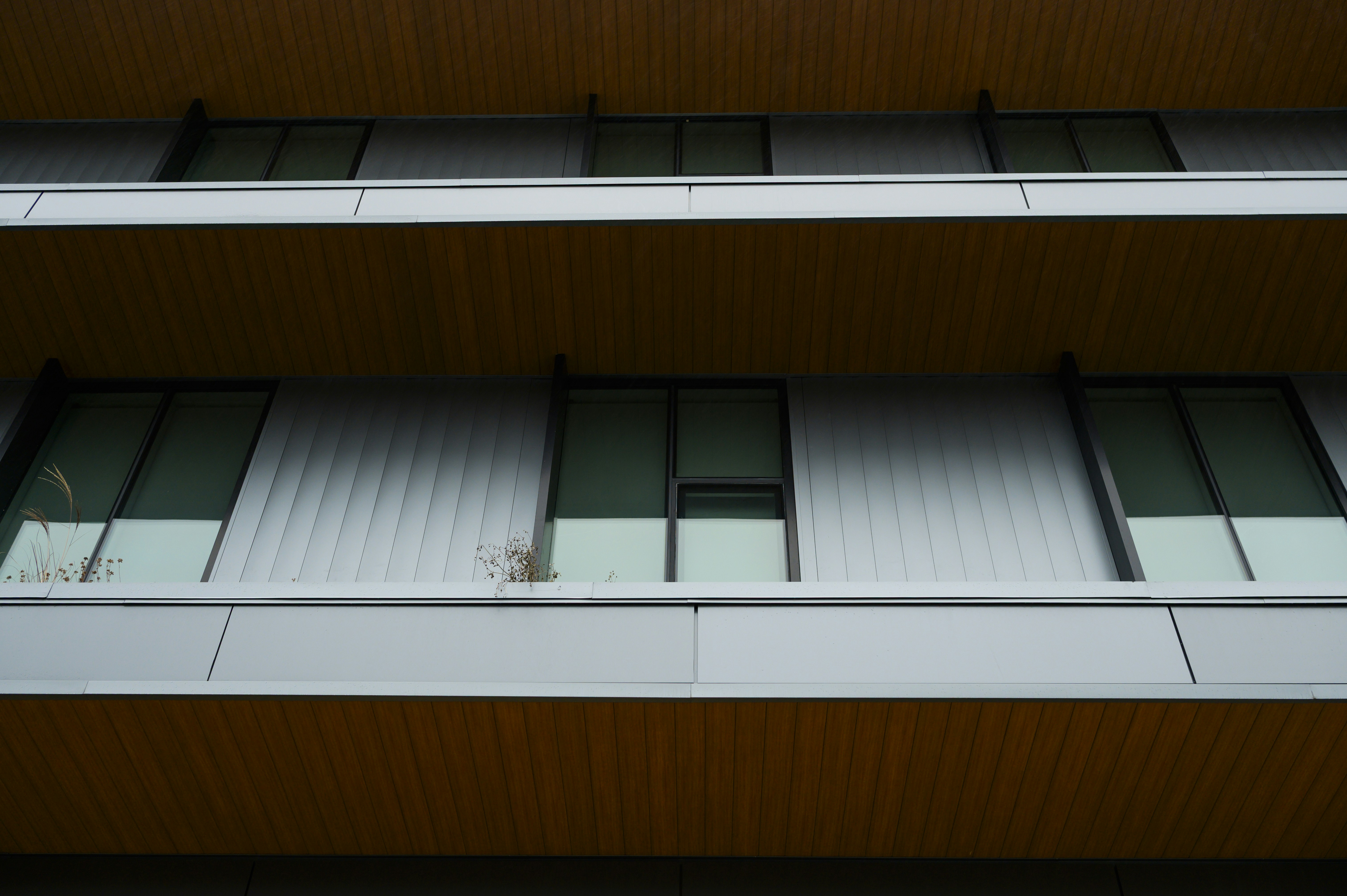 שירותי העסק