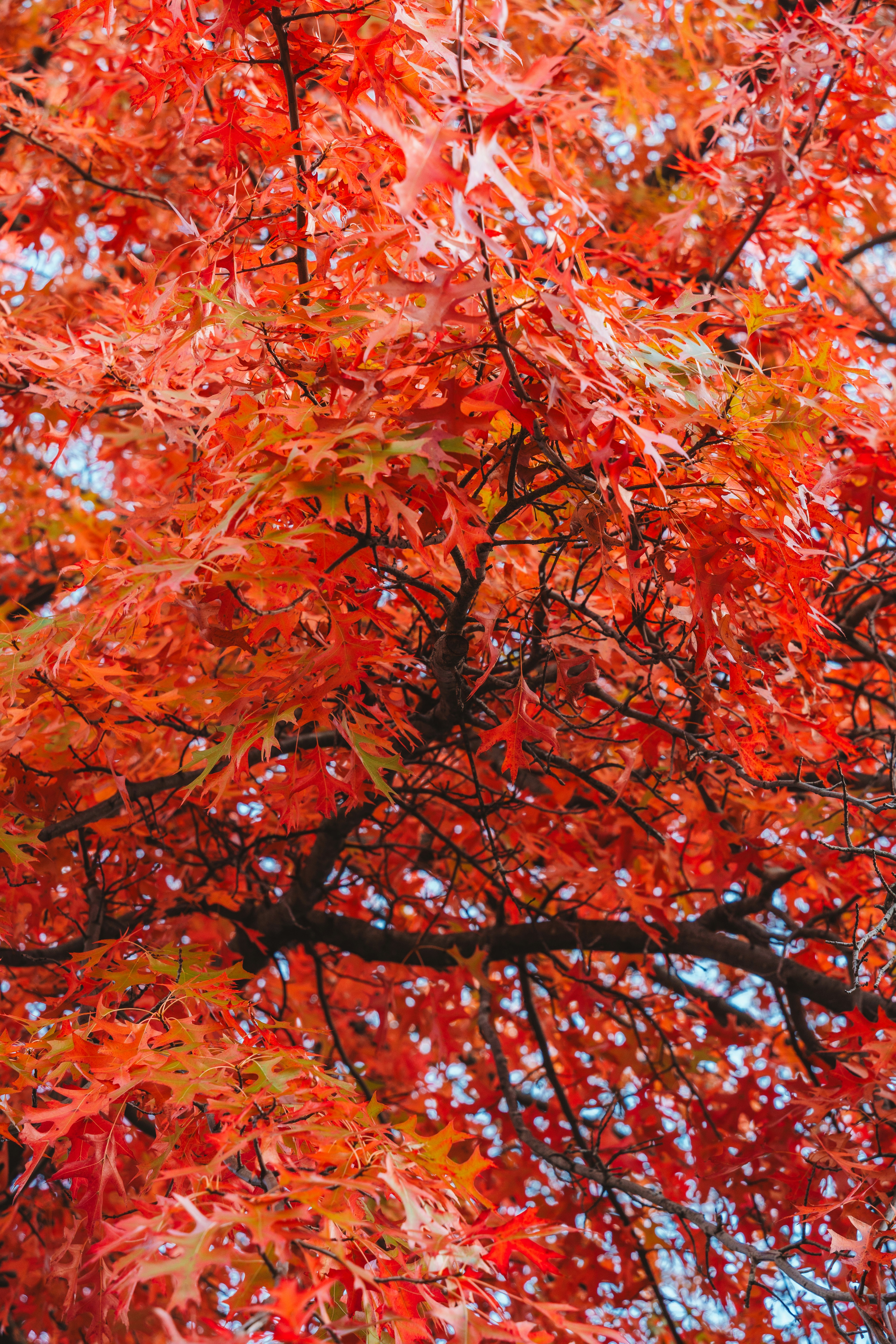 Photo by yileijerrybao