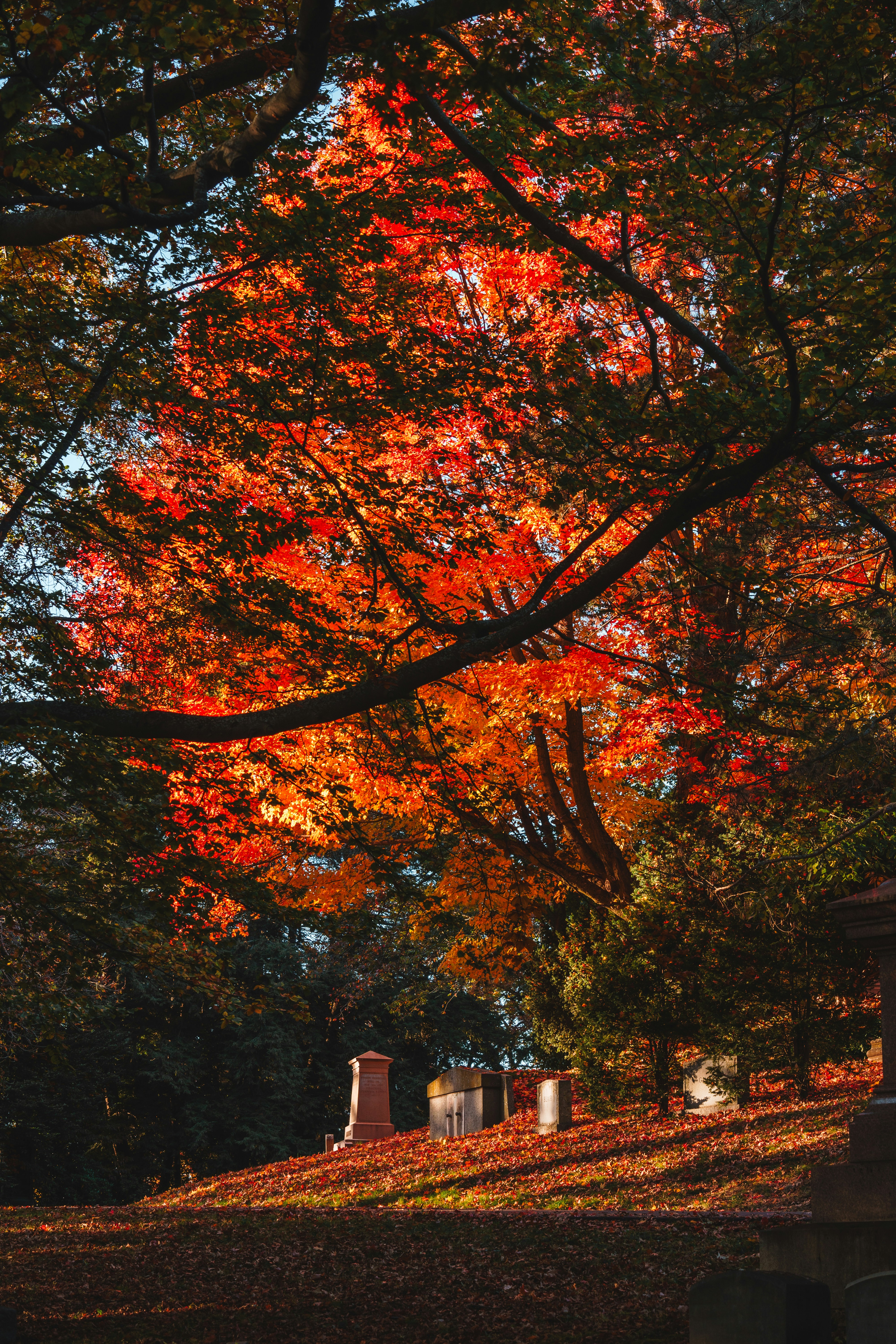 Photo by yileijerrybao