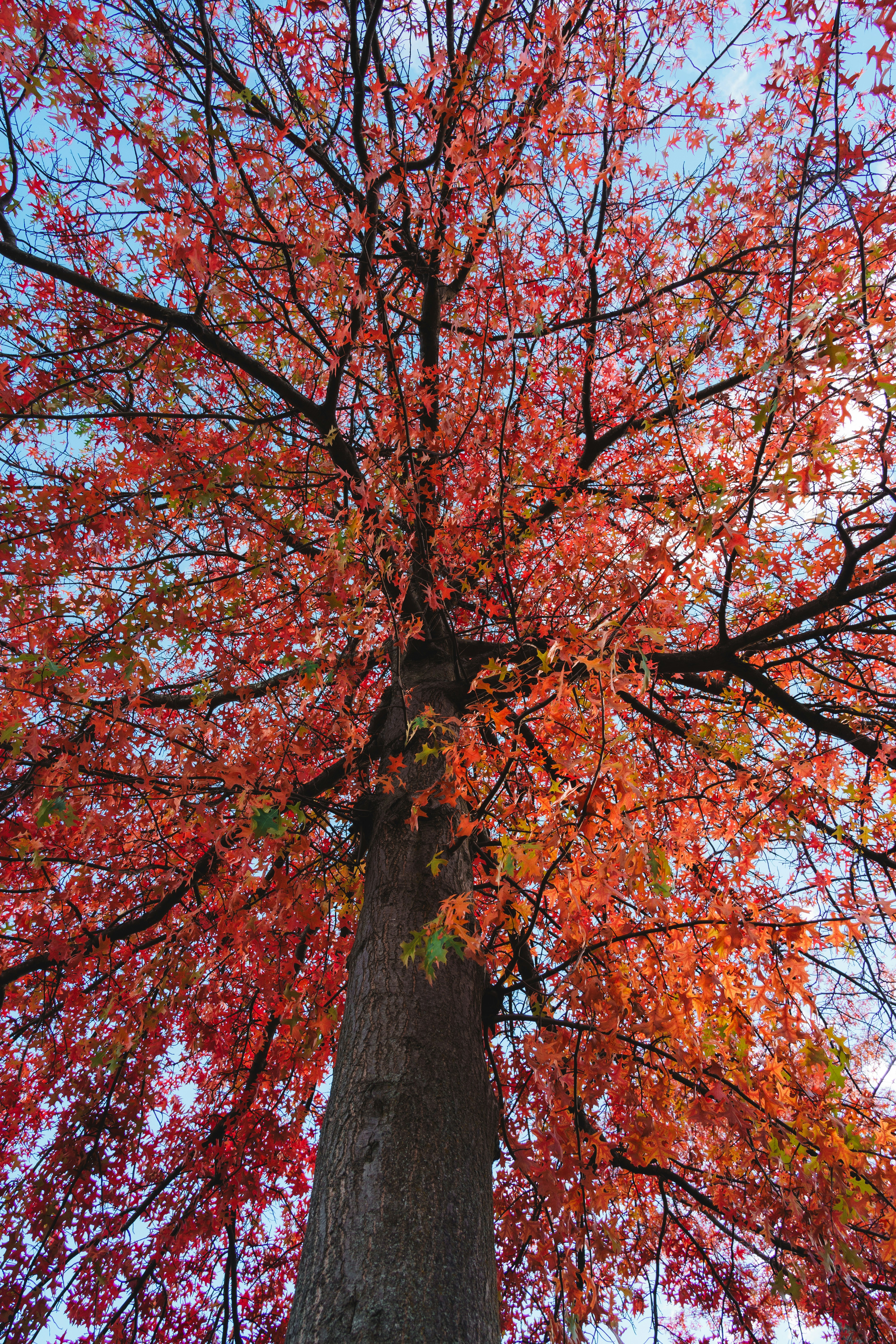 Photo by yileijerrybao