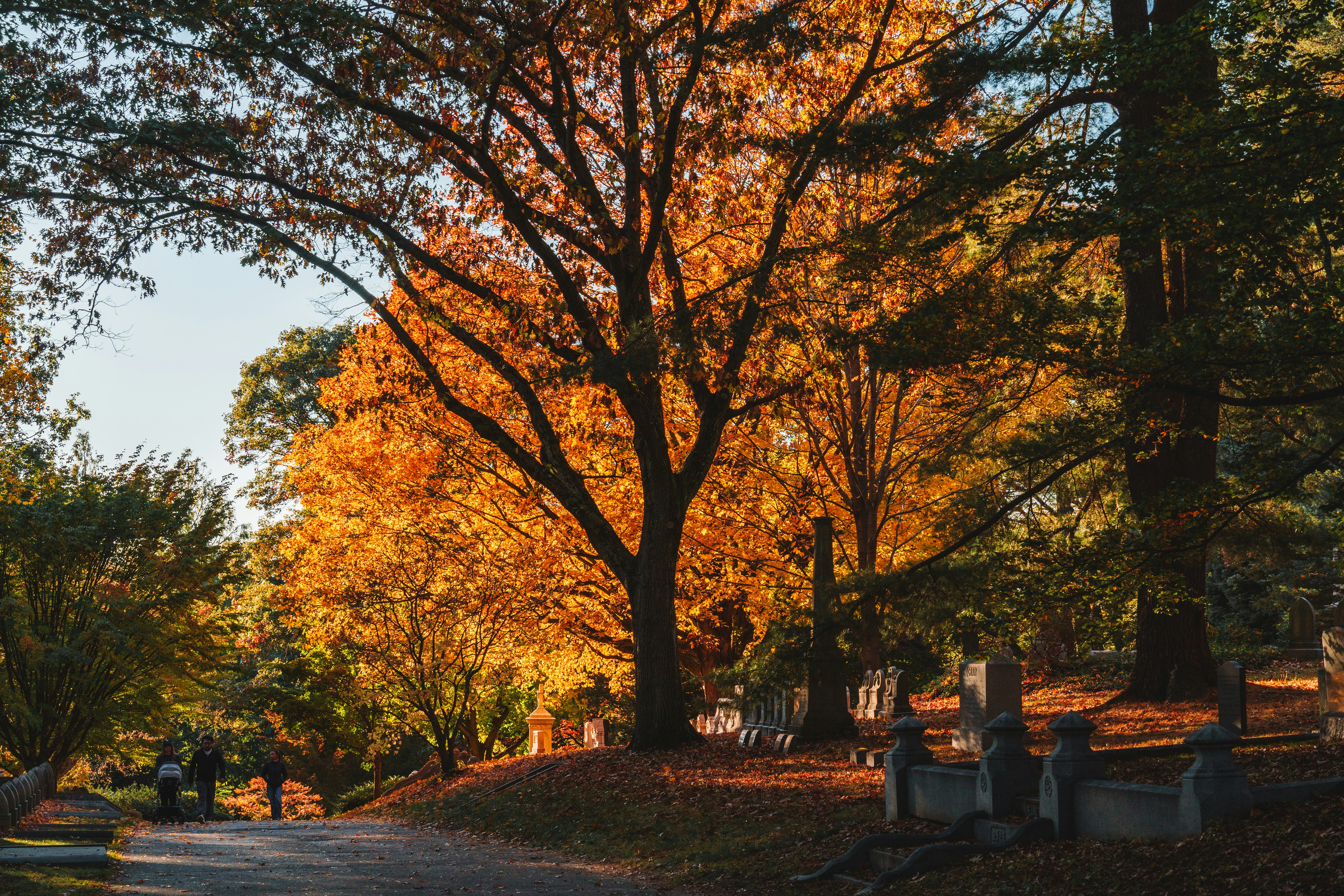 Photo by yileijerrybao