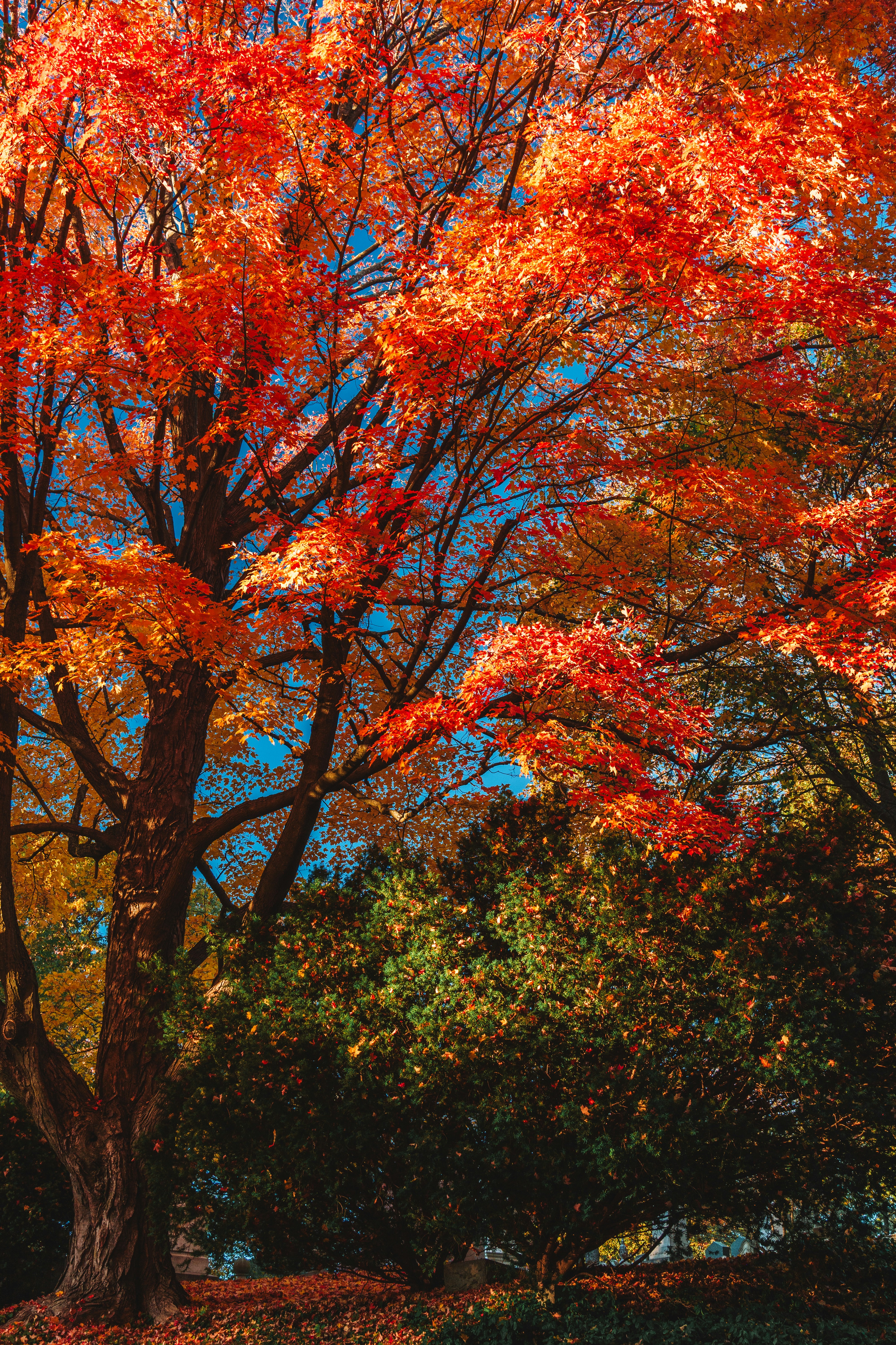 Photo by yileijerrybao