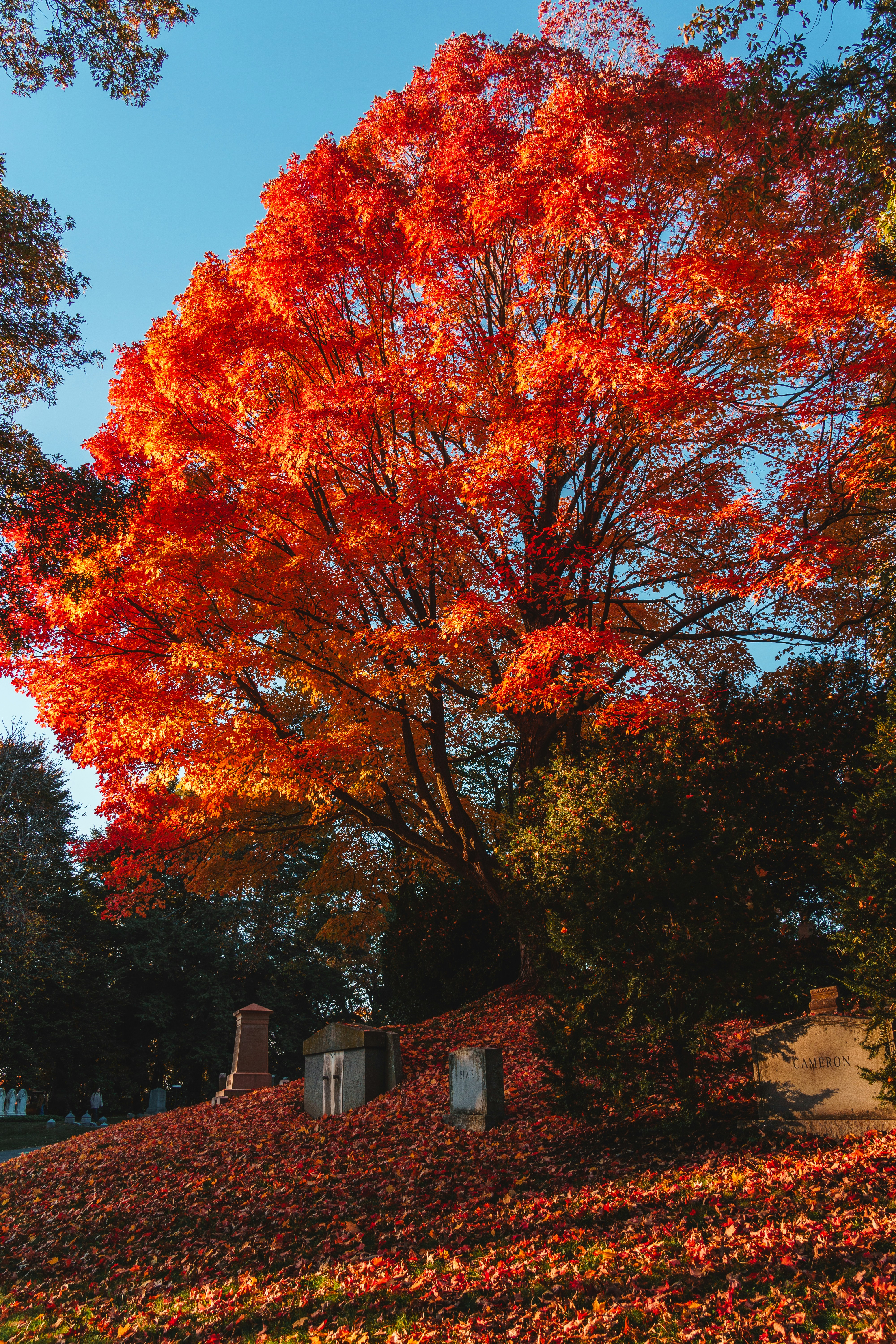 Photo by yileijerrybao