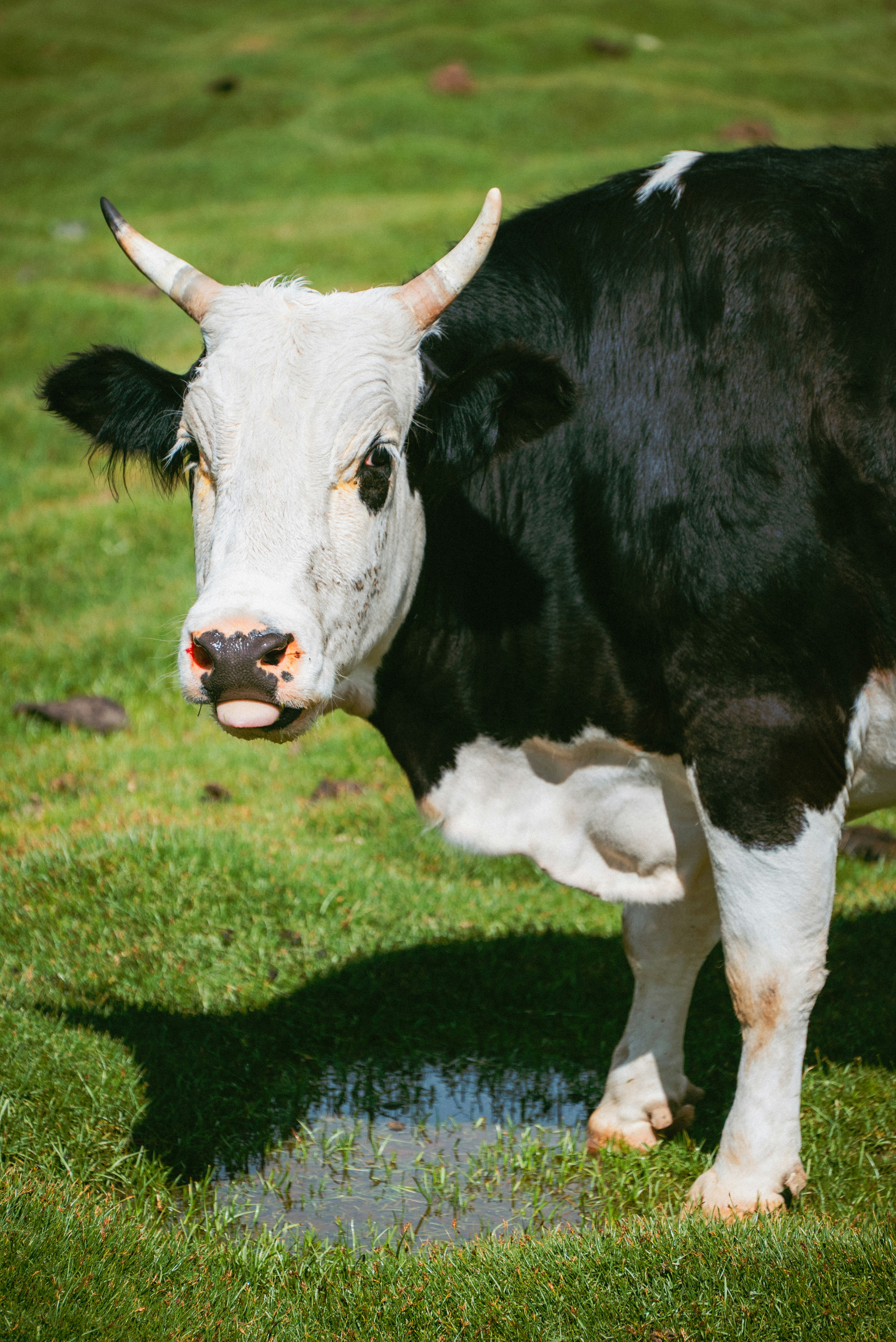 Photo by nikol_royce