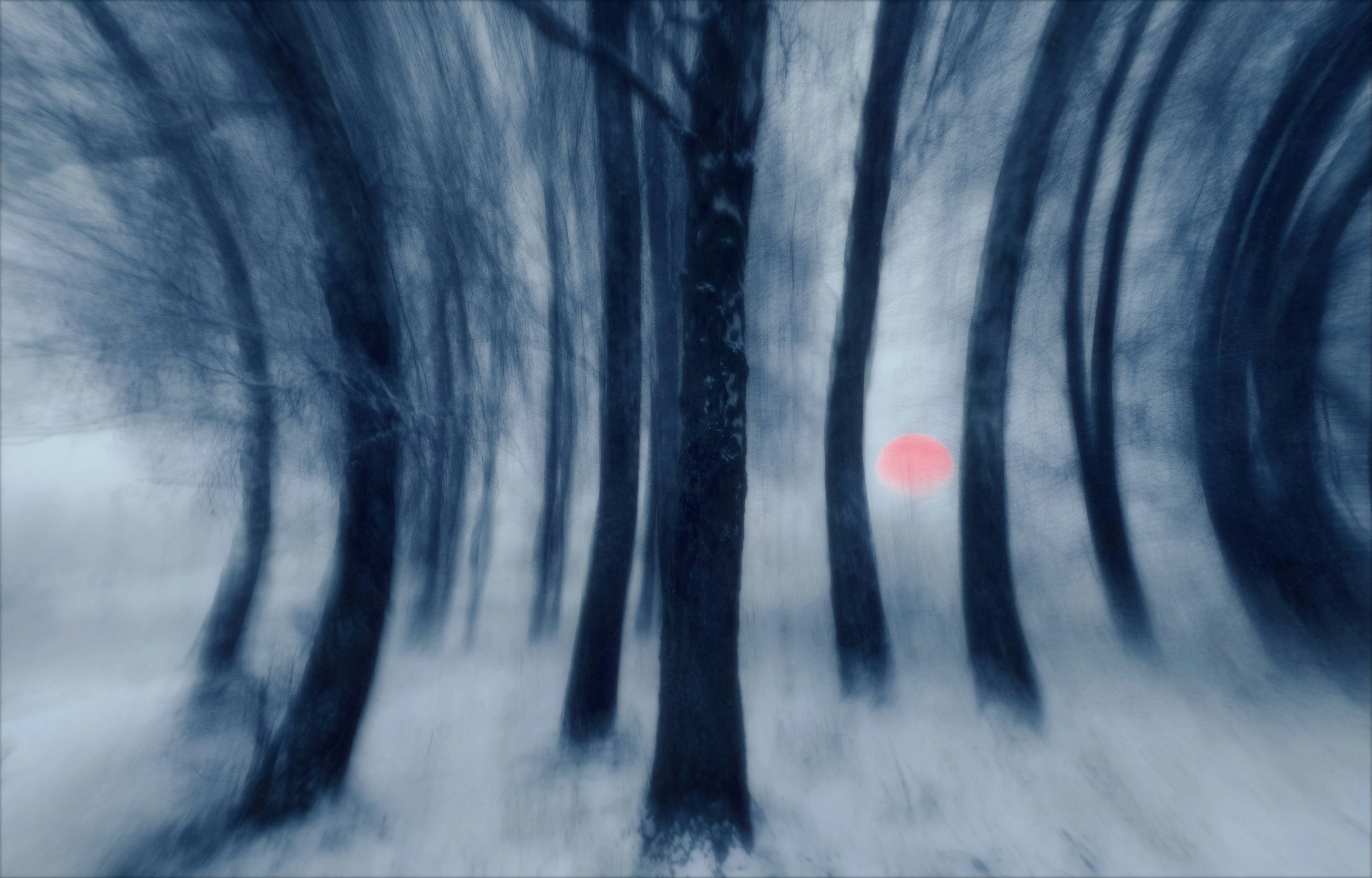 Photo by eugene_golovesov