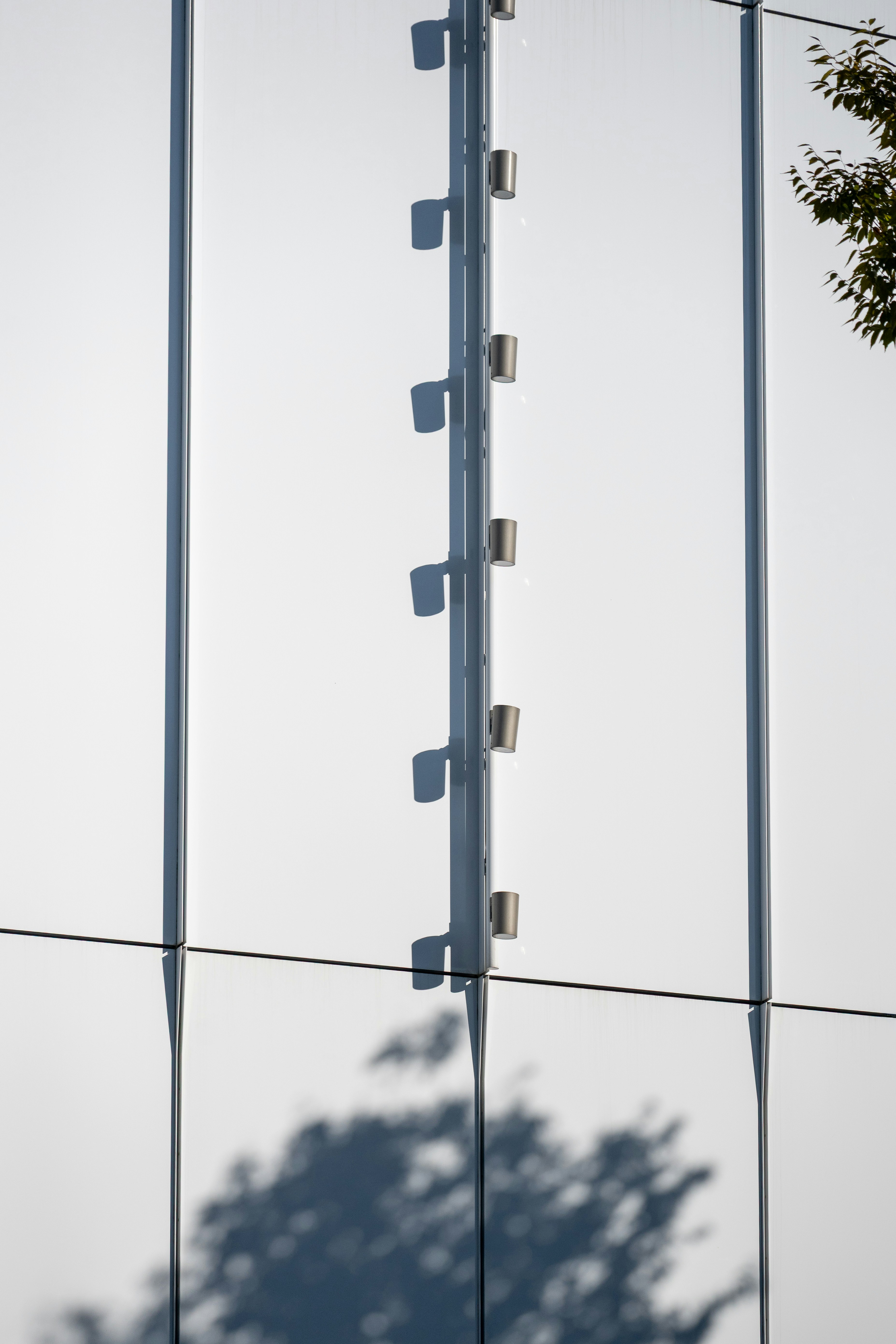 Photo by turquocabbit