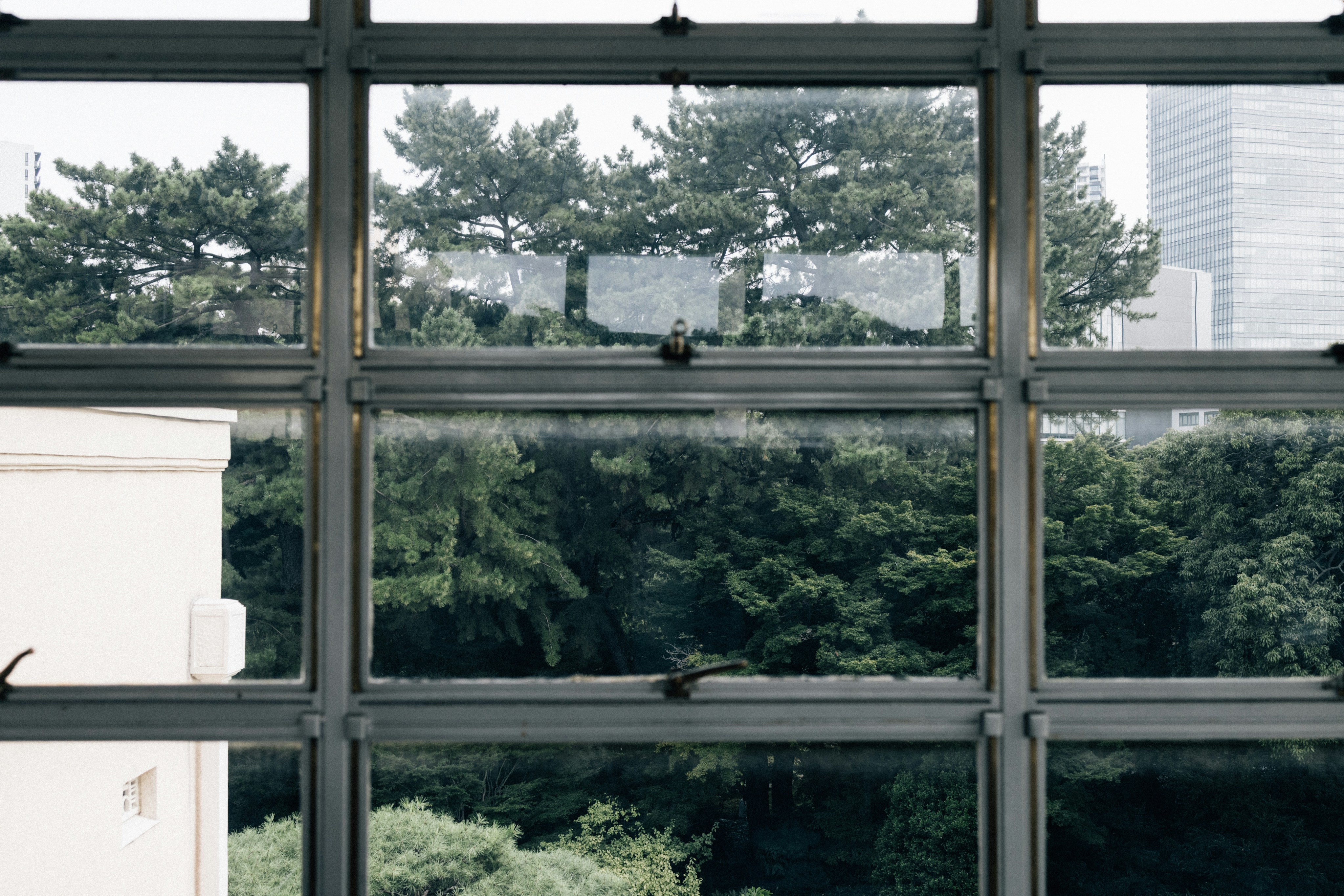 Photo by tsuyoshikozu