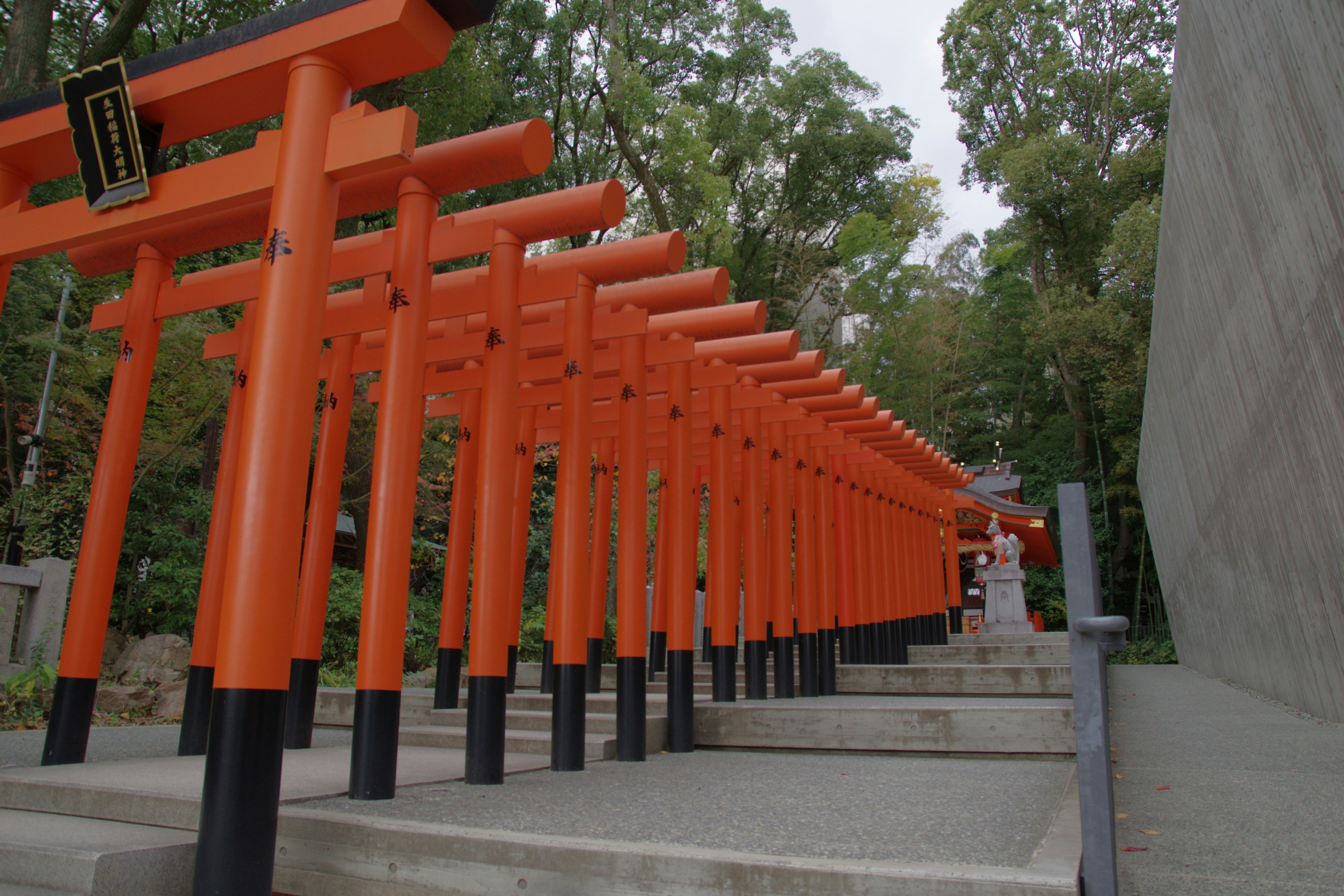 Row of orange torii gates leading up stairs