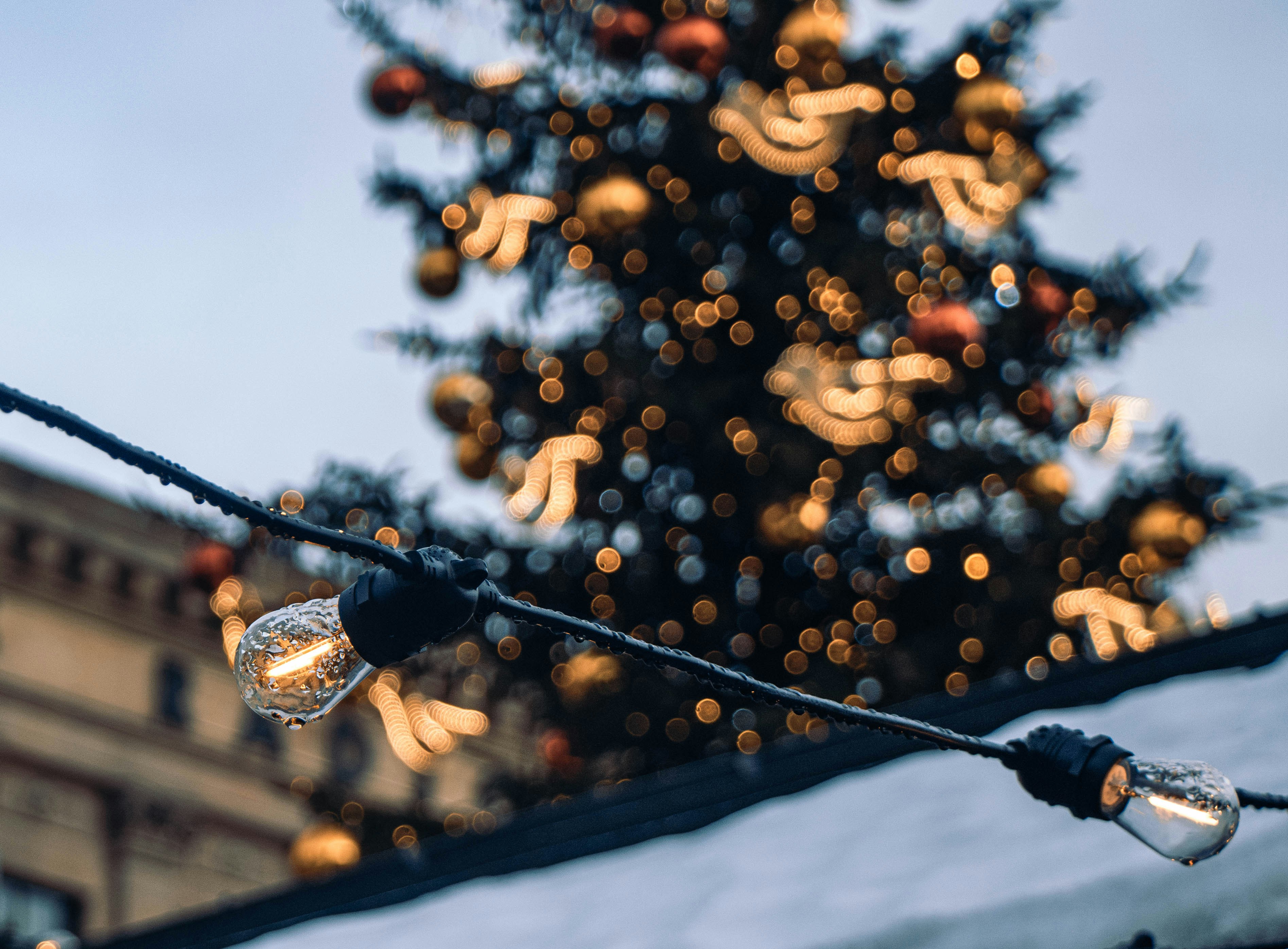 Christmas tree lights with bokeh background