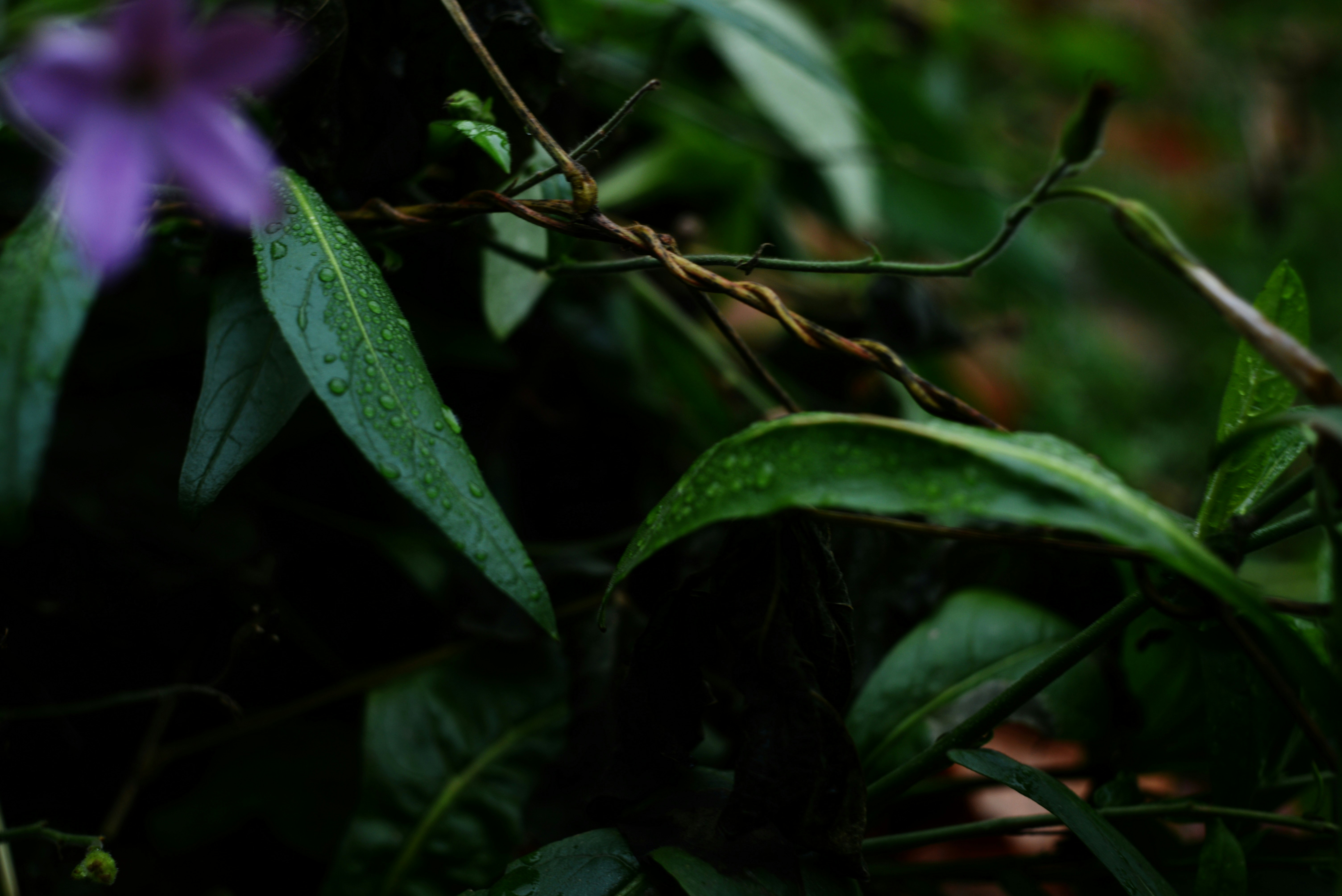 Photo by cherstve_pechivo