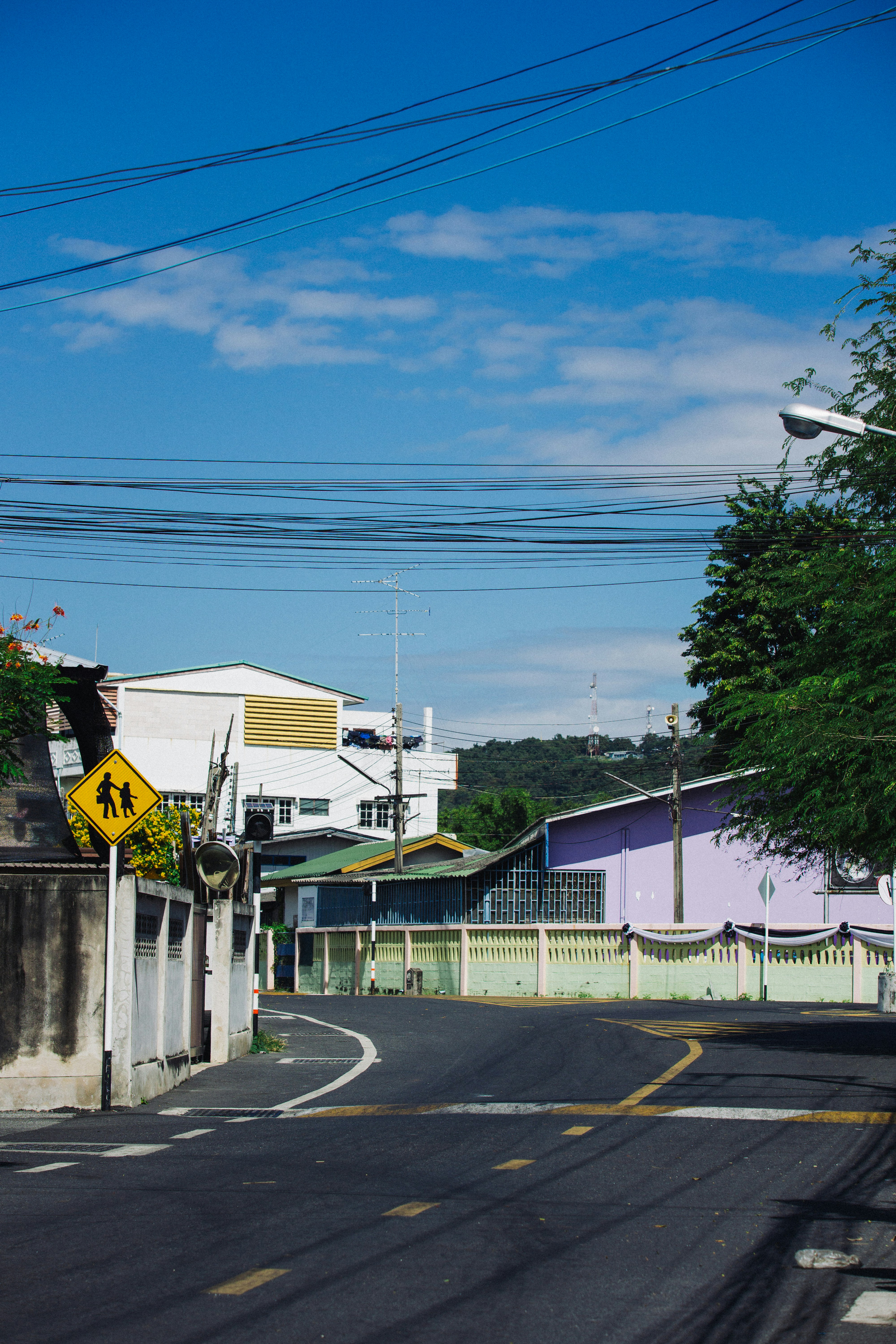 Street with houses, power lines, and a school crossing sign.