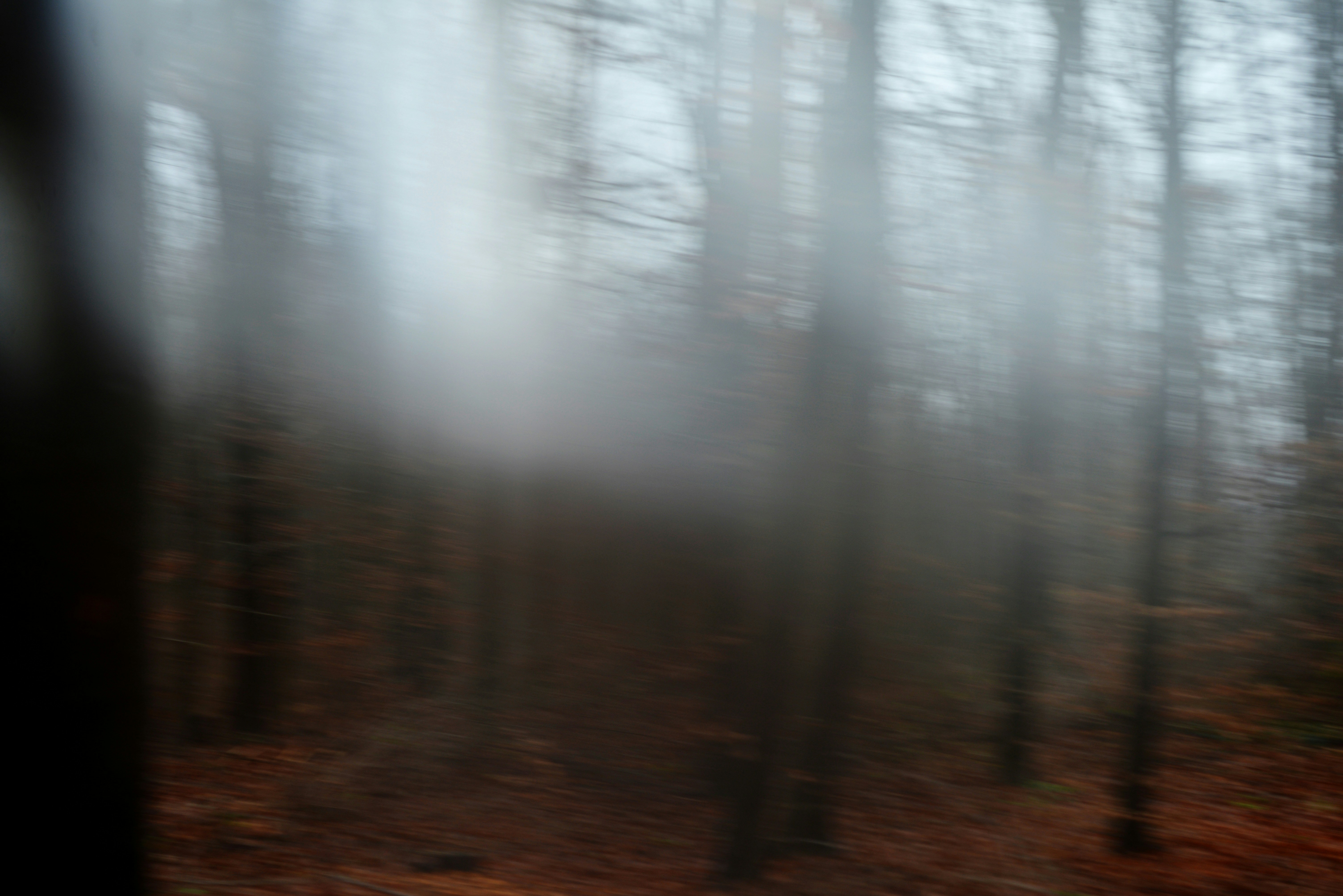 Photo by cherstve_pechivo