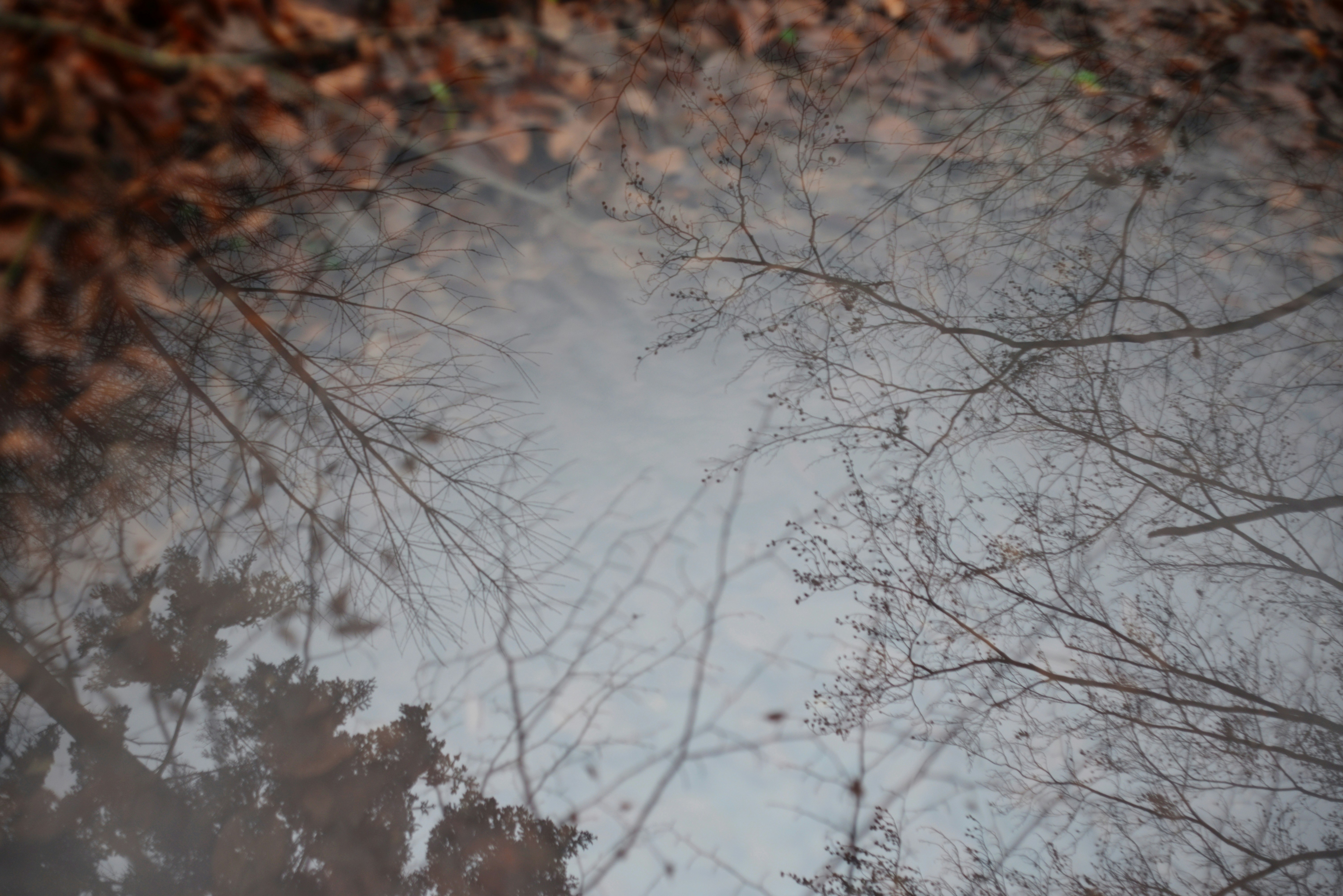 Photo by cherstve_pechivo