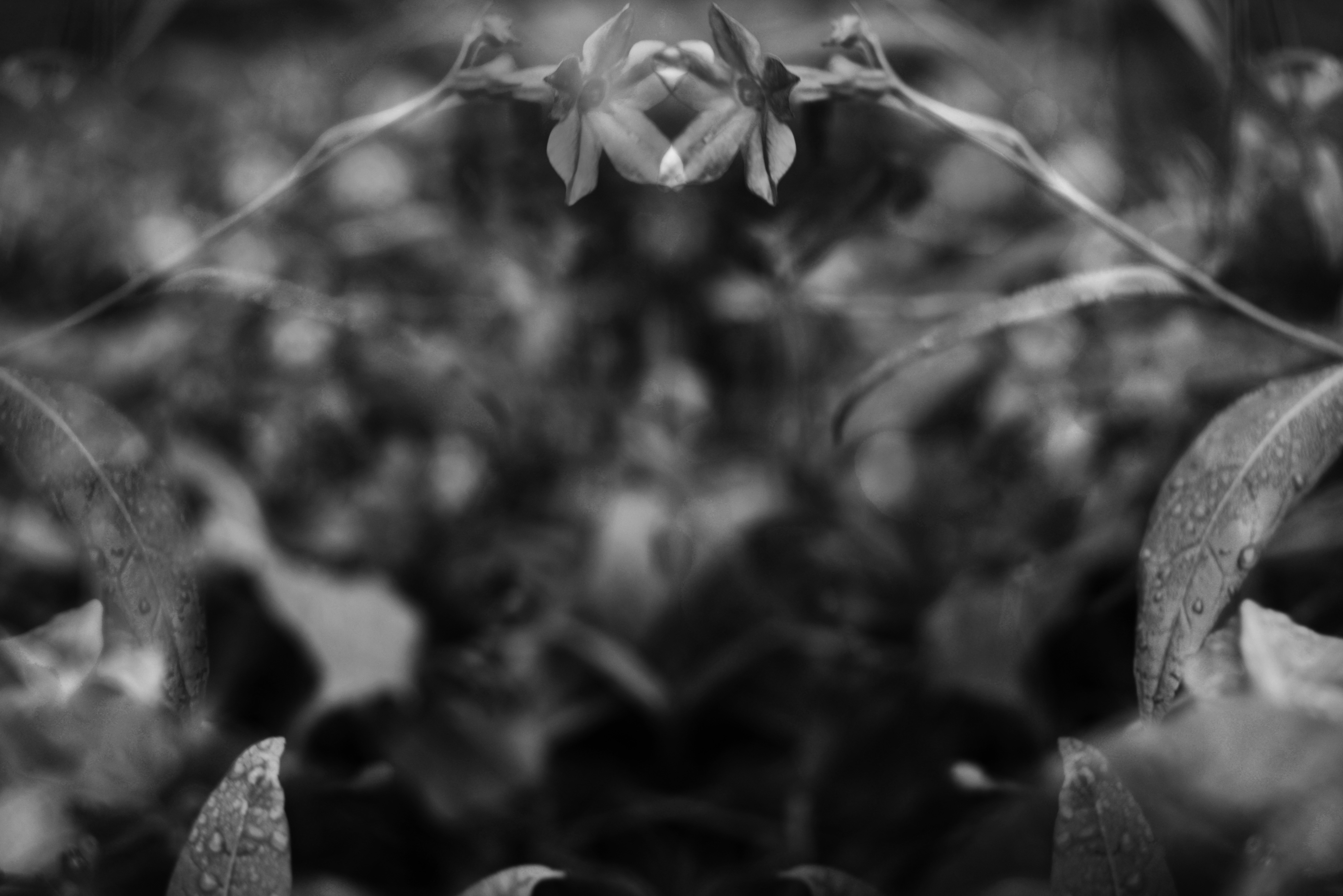 Photo by cherstve_pechivo