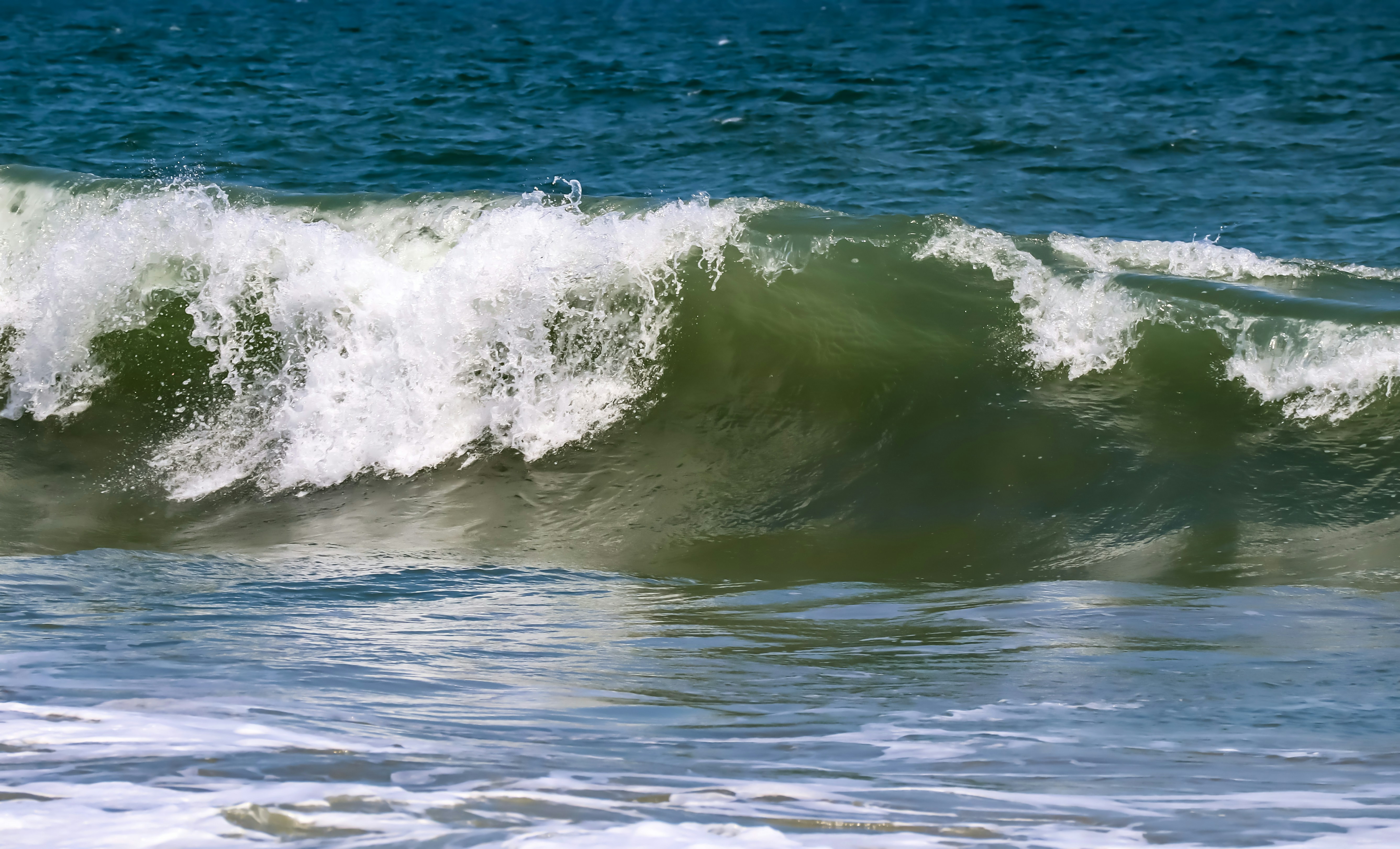 Photo by robinahoody