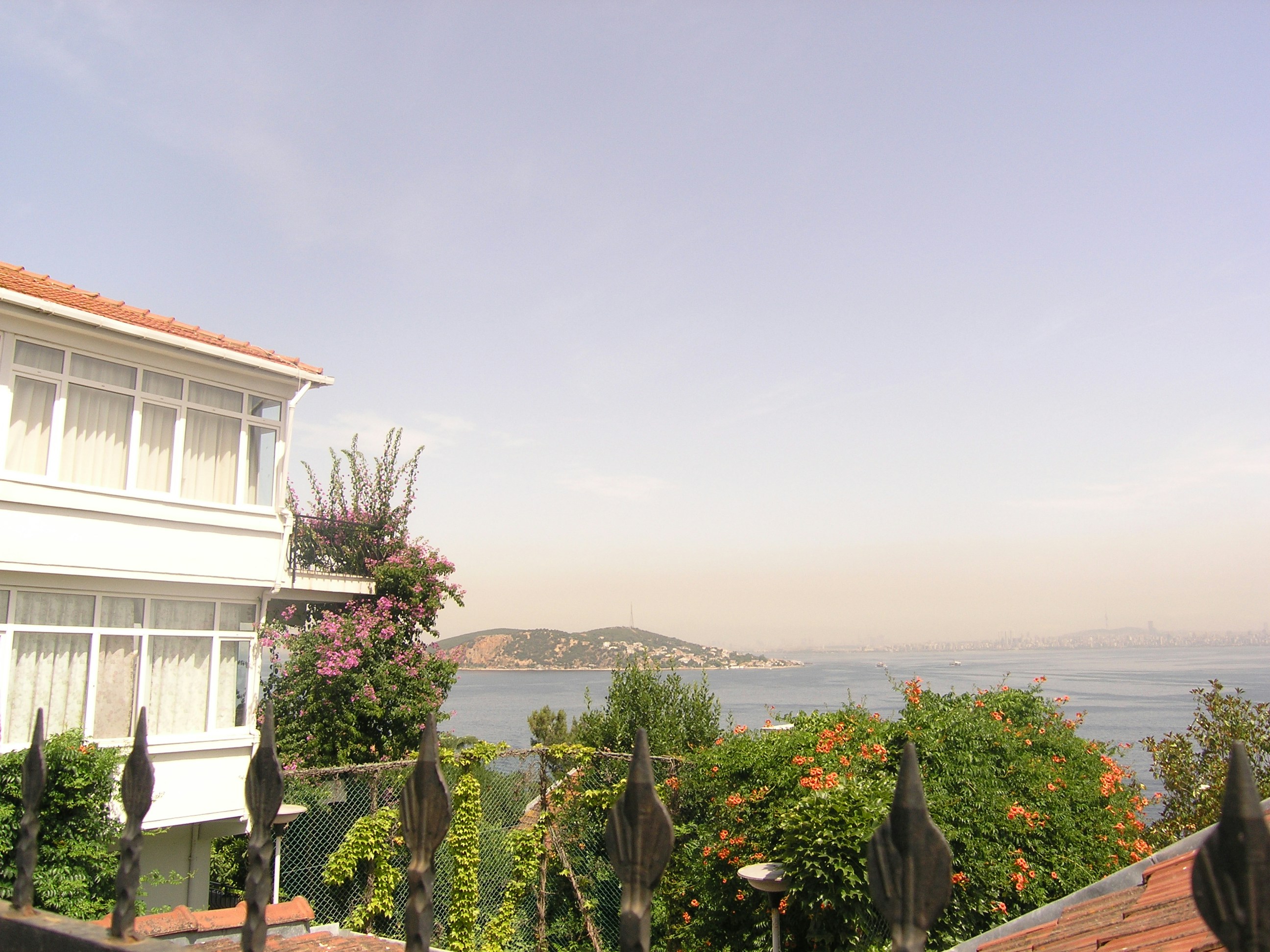 White building overlooking the sea with greenery