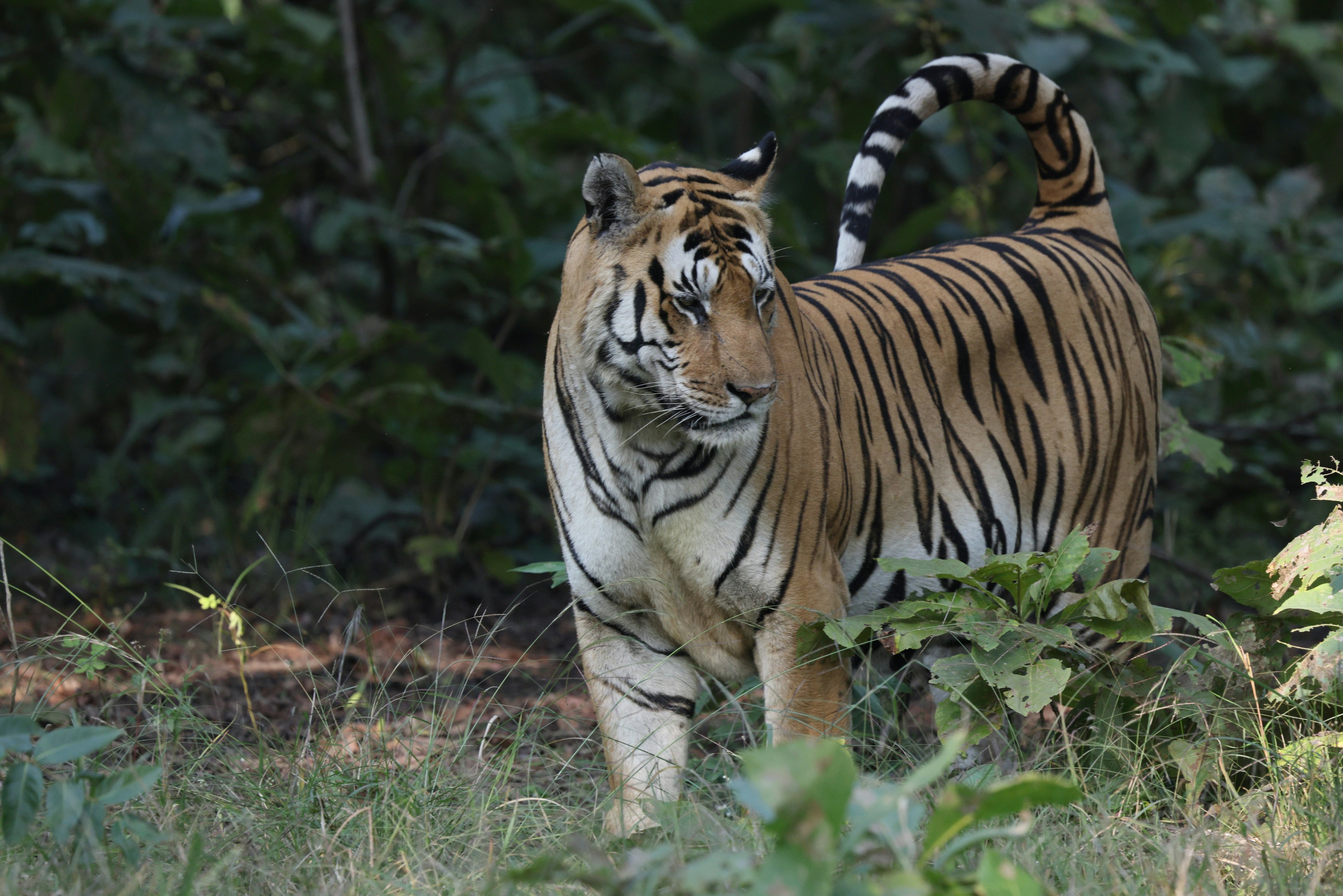 Photo by lakshmimn68