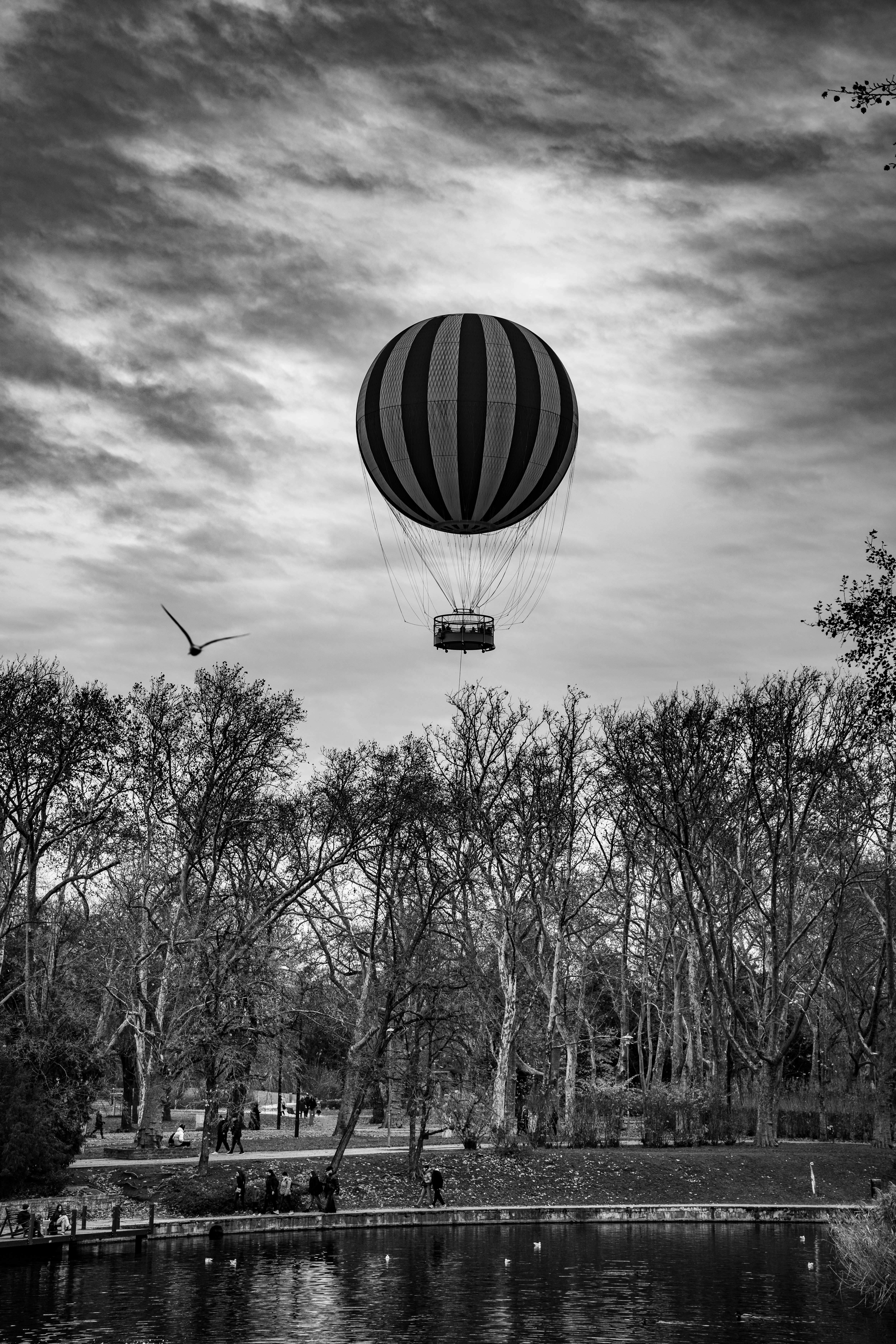 Hot air balloon floats over trees and lake.