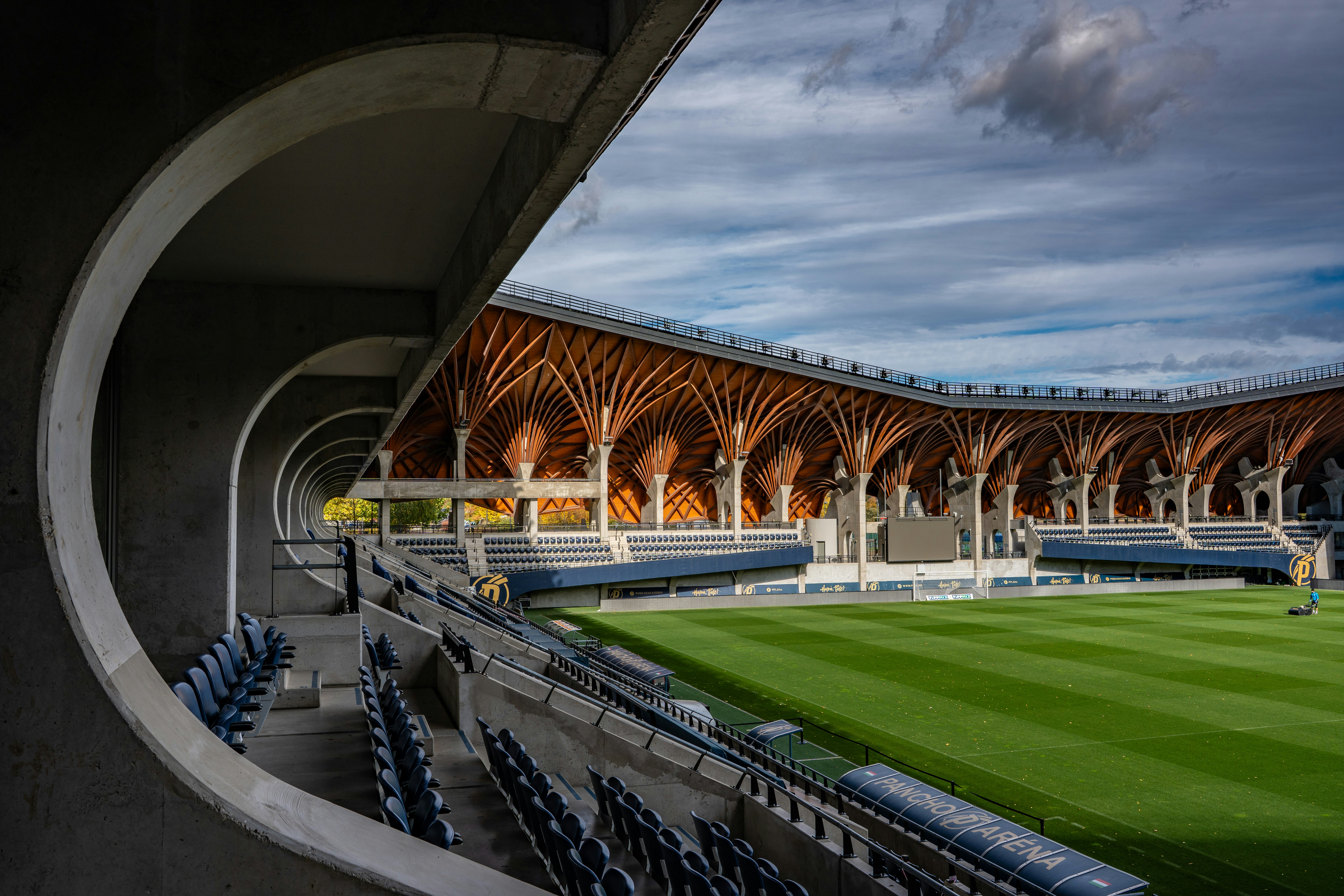 Modern stadium with unique wooden roof structure