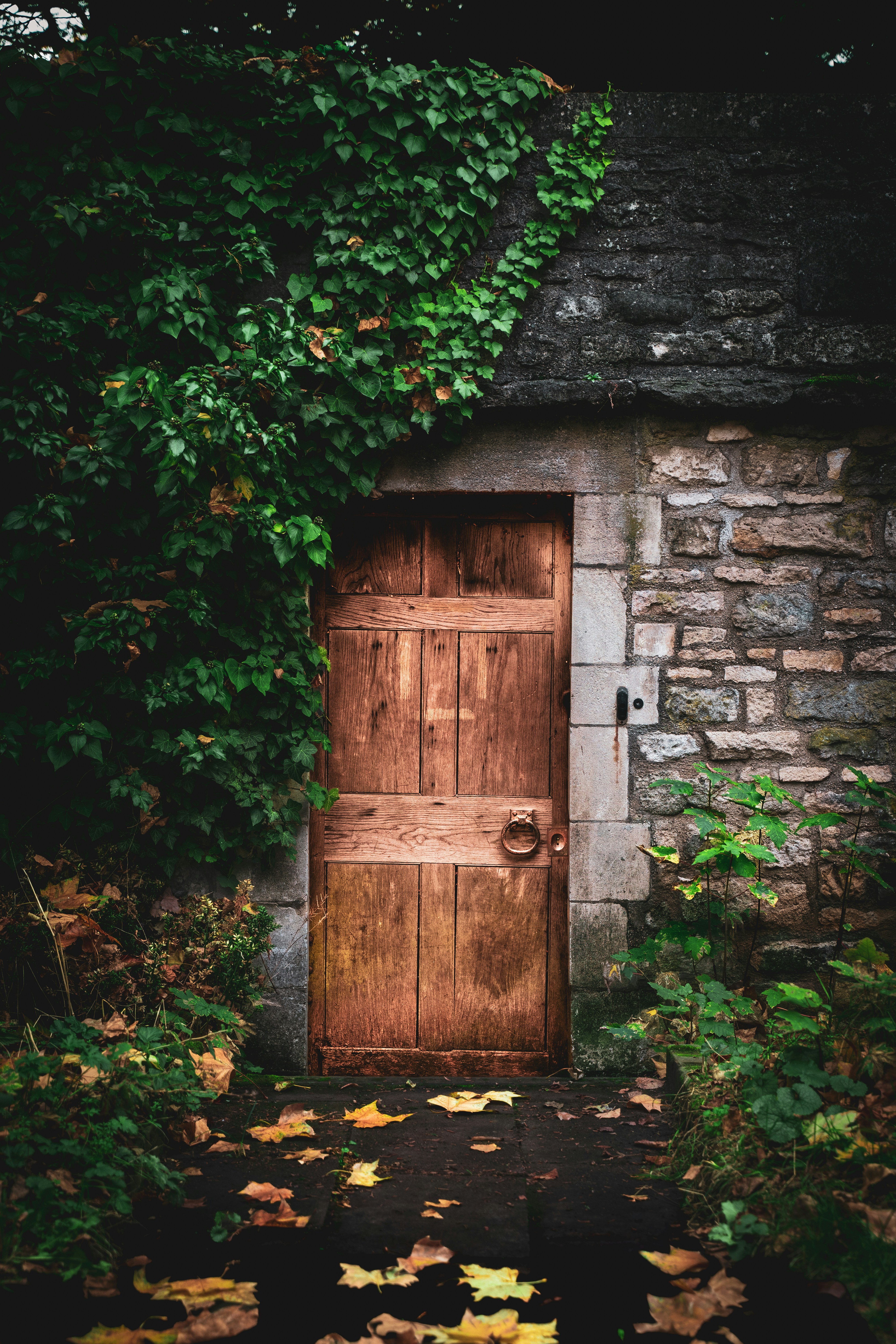 Photo by zubair_works