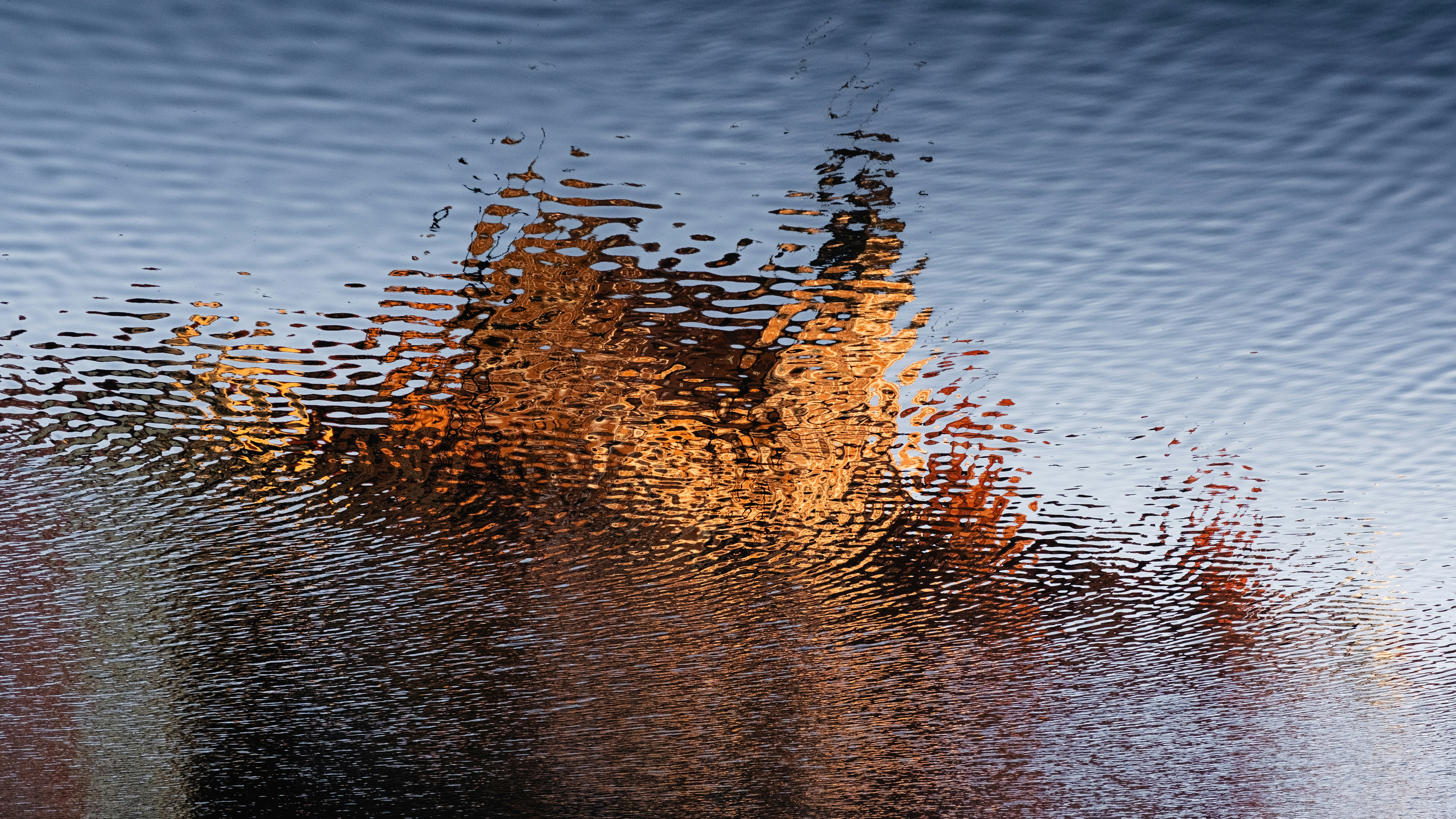 Reflejo distorsionado de los árboles otoñales en el agua ondulante